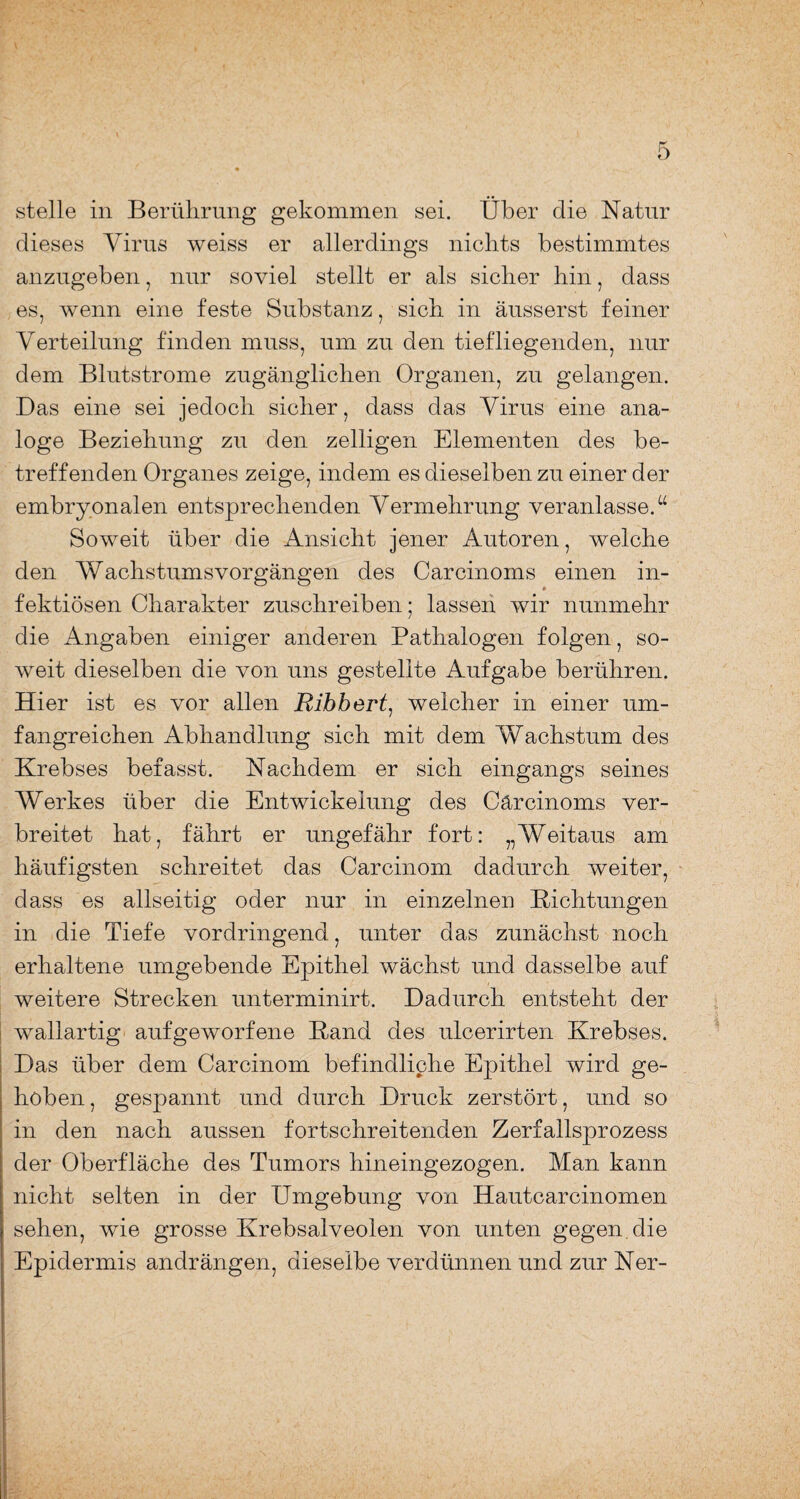 stelle in Berührung gekommen sei. Über die Natur dieses Virus weiss er allerdings nichts bestimmtes anzugeben, nur soviel stellt er als sicher hin, dass es, wenn eine feste Substanz, sich in äusserst feiner Verteilung finden muss, um zu den tiefliegenden, nur dem Blutstrome zugänglichen Organen, zu gelangen. Das eine sei jedoch sicher, dass das Virus eine ana¬ loge Beziehung zu den zelligen Elementen des be¬ treffenden Organes zeige, indem es dieselben zu einer der embryonalen entsprechenden Vermehrung veranlasse.“ Soweit über die Ansicht jener Autoren, welche den Wachstumsvorgängen des Carcinoms einen in¬ fektiösen Charakter zuschreiben; lassen wir nunmehr die Angaben einiger anderen Pathalogen folgen, so¬ weit dieselben die von uns gestellte Aufgabe berühren. Hier ist es vor allen Ribbert, welcher in einer um¬ fangreichen Abhandlung sich mit dem Wachstum des Krebses befasst. Nachdem er sich eingangs seines Werkes über die Entwickelung des Cärcinoms ver¬ breitet hat, fährt er ungefähr fort: „Weitaus am häufigsten schreitet das Carcinom dadurch weiter, dass es allseitig oder nur in einzelnen Bichtungen in die Tiefe vordringend, unter das zunächst noch erhaltene umgebende Epithel wächst und dasselbe auf weitere Strecken unterminirt. Dadurch entsteht der wallartig aufgeworfene Band des ulcerirten Krebses. Das über dem Carcinom befindliche Epithel wird ge¬ hoben , gespannt und durch Druck zerstört, und so in den nach aussen fortschreitenden Zerfallsprozess der Oberfläche des Tumors hineingezogen. Man kann nicht selten in der Umgebung von Hautcarcinomen sehen, wie grosse Krebsalveolen von unten gegen, die Epidermis andrängen, dieselbe verdünnen und zur Ner-