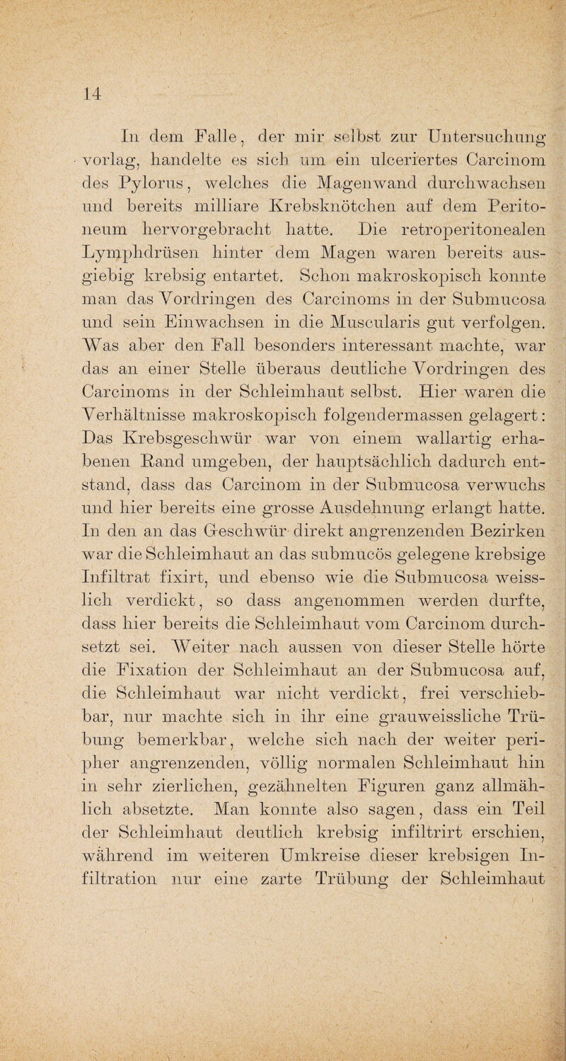 In dem Falle, der mir selbst zur Untersuchung vorlag, handelte es sich um ein ulceriertes Carcinom des Pyloriis, welches die Magenwand durchwachsen und bereits milliare Krebsknötchen auf dem Perito¬ neum hervorgebracht hatte. Die retroperitonealen Lymphdrüsen hinter dem Magen waren bereits aus¬ giebig krebsig entartet. Schon makroskopisch konnte man das Vordringen des Carcinoms in der Submucosa und sein Einwachsen in die Muscularis gut verfolgen. Was aber den Fall besonders interessant machte, war das an einer Stelle überaus deutliche Vordringen des Carcinoms in der Schleimhaut selbst. Hier waren die Verhältnisse makroskopisch folgendermassen gelagert: Das Krebsgeschwür war von einem wallartig erha¬ benen Kand umgeben, der hauptsächlich dadurch ent¬ stand, dass das Carcinom in der Submucosa verwuchs und hier bereits eine grosse Ausdehnung erlangt hatte. In den an das Geschwür direkt angrenzenden Bezirken war die Schleimhaut an das submucös gelegene krebsige Infiltrat fixirt, und ebenso wie die Submucosa weiss- lich verdickt, so dass angenommen werden durfte, dass hier bereits die Schleimhaut vom Carcinom durch¬ setzt sei. Weiter nach aussen von dieser Stelle hörte die Fixation der Schleimhaut an der Submucosa auf, die Schleimhaut war nicht verdickt, frei verschieb¬ bar, nur machte sich in ihr eine grauweissliche Trü¬ bung bemerkbar, welche sich nach der weiter peri¬ pher angrenzenden, völlig normalen Schleimhaut hin in sehr zierlichen, gezähnelten Figuren ganz allmäh¬ lich absetzte. Man konnte also sagen, dass ein Teil der Schleimhaut deutlich krebsig infiltrirt erschien, während im weiteren Umkreise dieser krebsigen In¬ filtration nur eine zarte Trübung der Schleimhaut • ■- ‘ '• '  • - ^ ; -- : I /