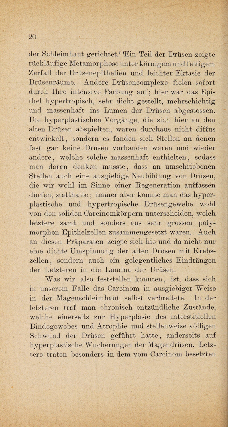 der Schleimhaut gerichtet.1 8Ein Teil der Drüsen zeigte rückläufige Metamorphose unter körnigem und fettigem Zerfall der Drüsenepithelien und leichter Ektasie der Drüsenräume. Andere Drüsencomplexe fielen sofort durch Ihre intensive Färbung auf; hier war das Epi¬ thel hypertropisch, sehr dicht gestellt, mehrschichtig und massenhaft ins Lumen der Drüsen abgestossen. Die hyperplastischen Vorgänge, die sich hier an den alten Drüsen abspielten, waren durchaus nicht diffus entwickelt, sondern es fanden sich Stellen an denen fast gar keine Drüsen vorhanden waren und wieder andere, welche solche massenhaft enthielten, sodass man daran denken musste, dass an umschriebenen Stellen auch eine ausgiebige Neubildung von Drüsen, die wir wohl im Sinne einer Degeneration auf fassen dürfen, statthatte ; immer aber konnte man das hyper¬ plastische und hypertropische Drüsengewebe wohl von den soliden Carcinomkörpern unterscheiden, welch letztere samt und sonders aus sehr grossen poly¬ morphen Epithelzellen zusammengesetzt waren. Auch an diesen Präparaten zeigte sich hie und da nicht nur eine dichte Umspinnung der alten Drüsen mit Krebs¬ zellen , sondern auch ein gelegentliches Eindrängen der Letzteren in die Lumina der Drüsen. Was wir also feststellen konnten, ist, dass sich in unserem Falle das Carcinom in ausgiebiger Weise in der Magenschleimhaut selbst verbreitete. In der letzteren traf man chronisch entzündliche Zustände, welche einerseits zur Hyperplasie des interstitiellen Bindegewebes und Atrophie und stellenweise völligen Schwund der Drüsen geführt hatte, anderseits auf hyperplastische Wucherungen der Magendrüsen. Letz¬ tere traten besonders in dem vom Carcinom besetzten