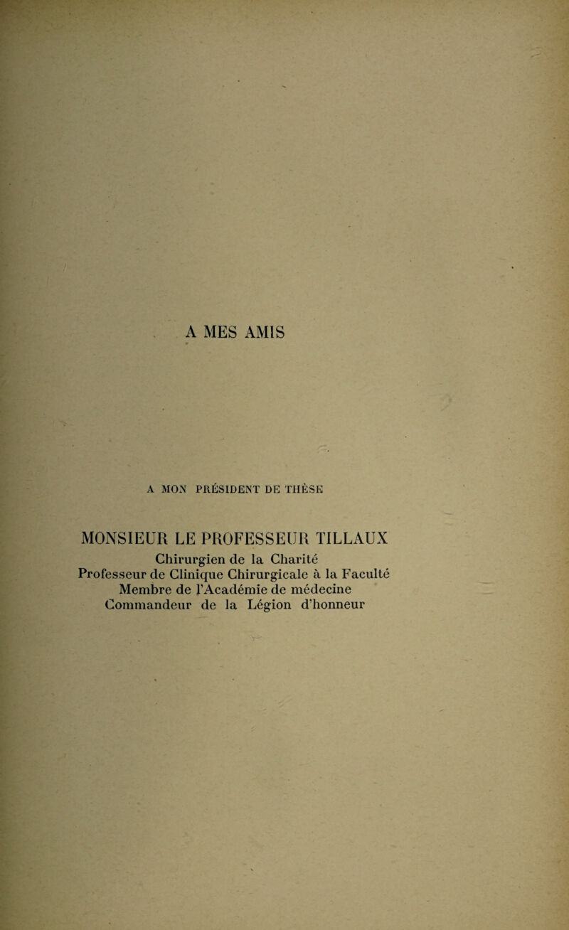 A MES AMIS A MON PRÉSIDENT DE THÈSE MONSIEUR LE PROFESSEUR TILLAUX Chirurgien de la Charité Professeur de Clinique Chirurgicale à la Faculté Membre de l’Académie de médecine Commandeur de la Légion d’honneur