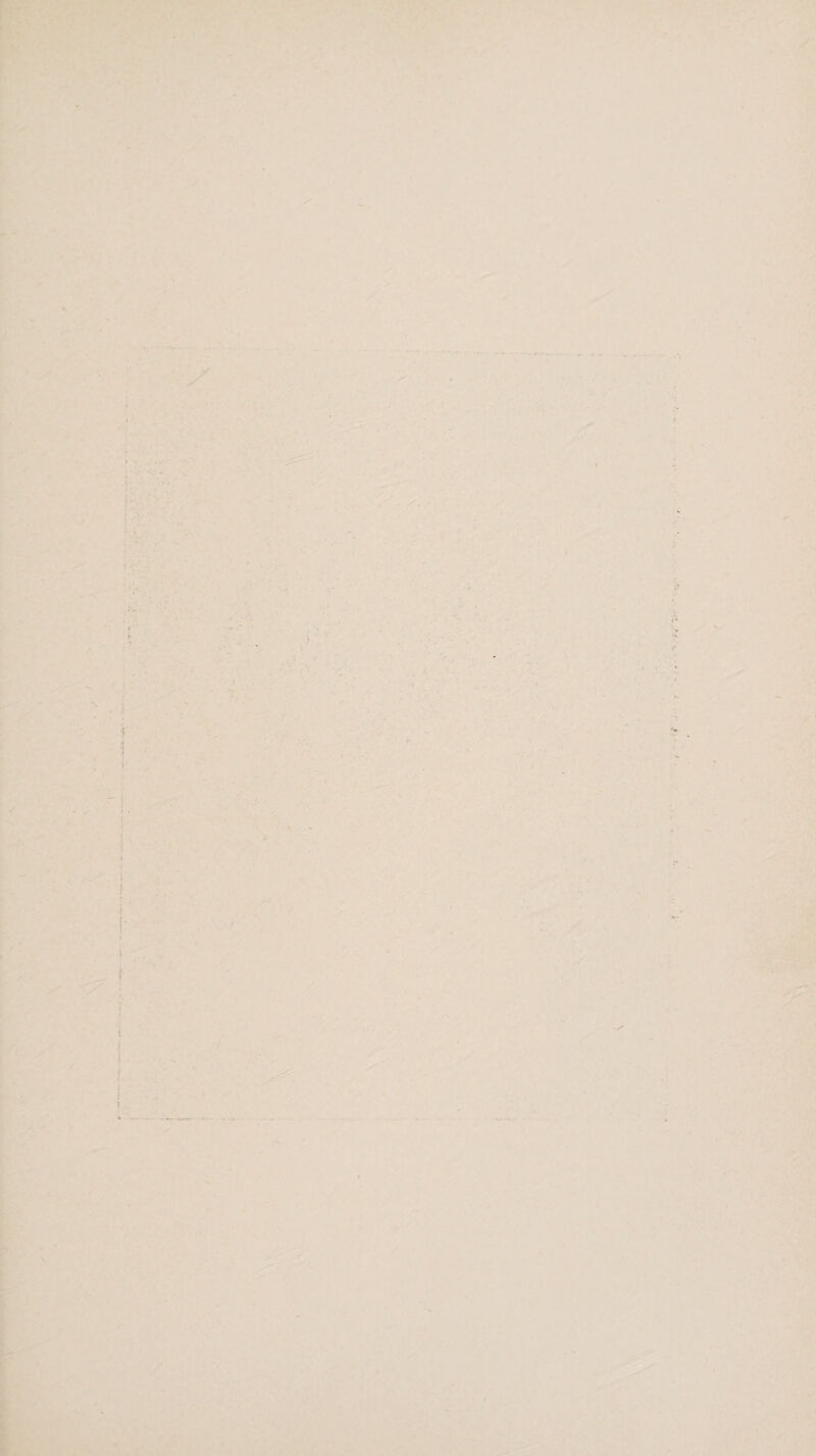 '