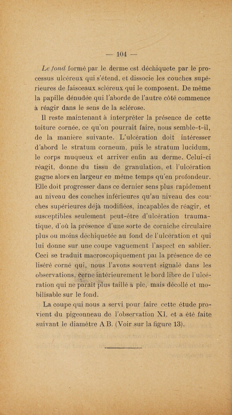 Le fond formé par le derme est déchiqueté par le pro¬ cessus ulcéreux qui s’étend, et dissocie les couches supé¬ rieures de faisceaux scléreux qui le composent. De même la papille dénudée qui l’aborde de l’autre côté commence à réagir dans le sens de la sclérose. 11 reste maintenant à interpréter la présence de cette toiture cornée, ce qu’on pourrait faire, nous semble-t-il, de la manière suivante. L’ulcération doit intéresser d’abord le stratum corneum, puis le stratum lucidum, le corps muqueux et arriver enfin au derme. Celui-ci réagit, donne du tissu de granulation, et l’ulcération gagne alors en largeur en même temps qu’en profondeur. Elle doit progresser dans ce dernier sens plus rapidement au niveau des couches inférieures qu’au niveau des cou¬ ches supérieures déjà modifiées, incapables de réagir, et susceptibles seulement peut-être d’ulcération trauma¬ tique, d’où la présence d’une sorte de corniche circulaire plus ou moins déchiquetée au fond de l’ulcération et qui lui donne sur une coupe vaguement l’aspect en sablier. Ceci se traduit macroscopiquement pai la présence de ce liséré corné qui, nous l’avons souvent signalé dans les observations, cerne intérieurement le bord libre de l’ulcé- ration qui ne paraît plus taillé à pic, mais décollé et mo¬ bilisable sur le fond. La coupe qui nous a servi pour faire cette étude pro¬ vient du pigeonneau de l’observation XI, et a été faite suivant le diamètre AB. (Voir sur la figure 13). / • '