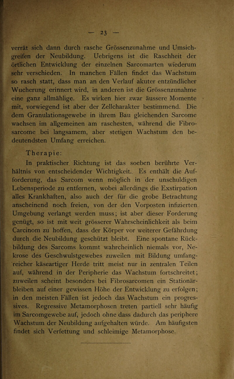 verrät sich dann durch rasche Grössenzunahme und Umsich¬ greifen der Neubildung. Uebrigens ist die Raschheit der örtlichen Entwicklung der einzelnen Sarcomarten wiederum sehr verschieden. In manchen Fällen findet das Wachstum so rasch statt, dass man an den Verlauf akuter entzündlicher Wucherung erinnert wird, in anderen ist die Grössenzunahme eine ganz allmählige. Es wirken hier zwar äussere Momente mit, vorwiegend ist aber der Zellcharakter bestimmend. Die dem Granulationsgewebe in ihrem Bau gleichenden Sarcome wachsen im allgemeinen am raschesten, während die Fibro- sarcome bei langsamem, aber stetigen Wachstum den be¬ deutendsten Umfang erreichen. Therapie: In praktischer Richtung ist das soeben berührte Ver¬ hältnis von entscheidender Wichtigkeit. Es enthält die Auf¬ forderung, das Sarcom wenn möglich in der unschuldigen Lebensperiode zu entfernen, wobei allerdings die Exstirpation alles Krankhaften, also auch der für die grobe Betrachtung anscheinend noch freien, von der den Vorposten infizierten Umgebung verlangt werden muss; ist aber dieser Forderung genügt, so ist mit weit grösserer Wahrscheinlichkeit als beim Carcinom zu hoffen, dass der Körper vor weiterer Gefährdung durch die Neubildung geschützt bleibt. Eine spontane Rück¬ bildung des Sarcoms kommt wahrcheinlich niemals vor, Ne¬ krose des Geschwulstgewebes zuweilen mit Bildung umfang¬ reicher käseartiger Herde tritt meist nur in zentralen Teilen auf, während in der Peripherie das Wachstum fortschreitet; zuweilen scheint besonders bei Fibrosarcomen ein Stationär¬ bleiben auf einer gewissen Höhe der Entwicklung zu erfolgen; in den meisten Fällen ist jedoch das Wachstum ein progres¬ sives. Regressive Metamorphosen treten partiell sehr häufig im Sarcomgewebe auf, jedoch ohne dass dadurch das periphere Wachstum der Neubildung aufgehalten würde. Am häufigsten findet sich Verfettung und schleimige Metamorphose.