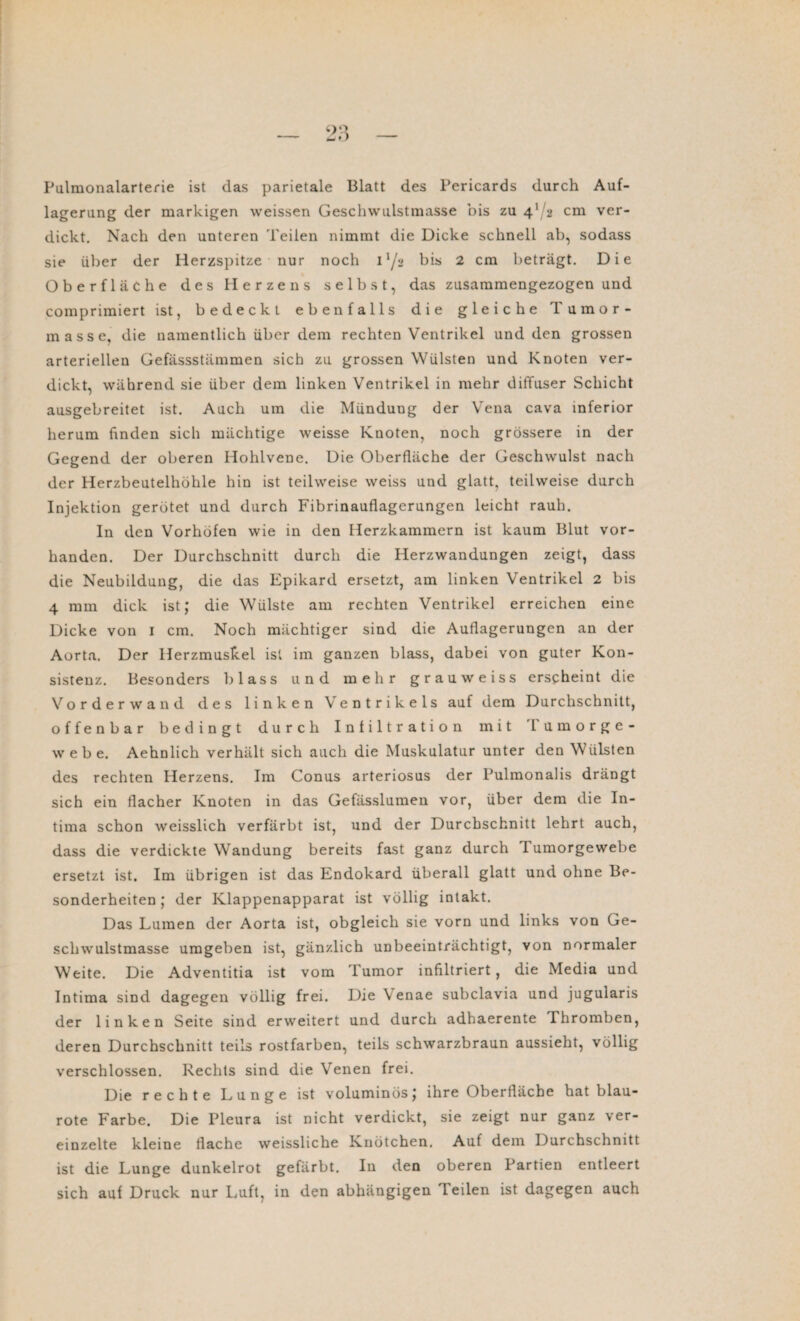 Pulmonalarterie ist das parietale Blatt des Pericards durch Auf¬ lagerung der markigen weissen Geschwulstmasse bis zu 4^2 cm ver¬ dickt. Nach den unteren Teilen nimmt die Dicke schnell ab, sodass sie über der Herzspitze nur noch 1 l/s bis 2 cm beträgt. Die Oberfläche des Herzens selbst, das zusammengezogen und comprimiert ist, bedeckt ebenfalls die gleiche Tumor¬ masse, die namentlich über dem rechten Ventrikel und den grossen arteriellen Gefässstämmen sich zu grossen Wülsten und Knoten ver¬ dickt, während sie über dem linken Ventrikel in mehr diffuser Schicht ausgebreitet ist. Auch um die Mündung der Vena cava inferior herum finden sich mächtige weisse Knoten, noch grössere in der Gegend der oberen Hohlvene. Die Oberfläche der Geschwulst nach der Herzbeutelhöhle hin ist teilweise weiss und glatt, teilweise durch Injektion gerötet und durch Fibrinauflagerungen leicht rauh. In den Vorhöfen wie in den Herzkammern ist kaum Blut vor¬ handen. Der Durchschnitt durch die Herzwandungen zeigt, dass die Neubildung, die das Epikard ersetzt, am linken Ventrikel 2 bis 4 mm dick ist; die Wülste am rechten Ventrikel erreichen eine Dicke von 1 cm. Noch mächtiger sind die Auflagerungen an der Aorta. Der Herzmuskel ist im ganzen blass, dabei von guter Kon¬ sistenz. Besonders blass und mehr grauweiss erscheint die Vorderwand des linken Ventrikels auf dem Durchschnitt, offenbar bedingt durch Infiltration mit fumorge- w e b e. Aehnlich verhält sich auch die Muskulatur unter den Wülsten des rechten Herzens. Im Conus arteriosus der Pulmonalis drängt sich ein flacher Knoten in das Gefässlumen vor, über dem die In¬ tima schon weisslich verfärbt ist, und der Durchschnitt lehrt auch, dass die verdickte Wandung bereits fast ganz durch lumorgewebe ersetzt ist. Im übrigen ist das Endokard überall glatt und ohne Be¬ sonderheiten ; der Klappenapparat ist völlig intakt. Das Lumen der Aorta ist, obgleich sie vorn und links von Ge¬ schwulstmasse umgeben ist, gänzlich unbeeinträchtigt, von normaler Weite. Die Adventitia ist vom Tumor infiltriert, die Media und Intima sind dagegen völlig frei. Die \ enae subclavia und jugularis der linken Seite sind erweitert und durch adhaerente Thromben, deren Durchschnitt teils rostfarben, teils schwarzbraun aussieht, völlig verschlossen. Rechts sind die Venen frei. Die rechte Lunge ist voluminös; ihre Oberfläche hat blau¬ rote Farbe. Die Pleura ist nicht verdickt, sie zeigt nur ganz ver¬ einzelte kleine flache weissliche Knötchen. Auf dem Durchschnitt ist die Lunge dunkelrot gefärbt. In den oberen Partien entleert sich auf Druck nur Luft, in den abhängigen Teilen ist dagegen auch