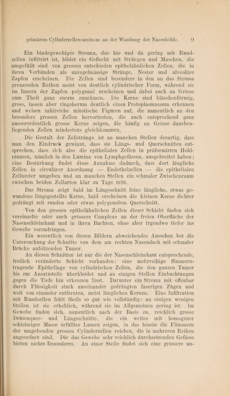 Ein bindegewebiges Stroma, das bic und da gering mit Rund¬ zellen infiltrirt ist, bildet ein Geflecht mit Strängen und Maschen, die ausgefüllt sind von grossen entschieden epithelähnlichen Zellen, die in ihren Verbänden als unregelmässige Stränge, Nester und alveoläre Zapfen erscheinen. Die Zellen sind besonders in den an das Stroma grenzenden Reihen meist von deutlich cylindrischer Form, während sie im Innern der Zapfen polygonal erscheinen und dabei auch an Grösse zum Tlieil ganz enorm zunehmen. Die Kerne sind bläschenförmig, gross, lassen aber ringsherum deutlich einen Protoplasmasaum erkennen und weisen zahlreiche mitotische Figuren auf, die namentlich an den besonders grossen Zellen hervortreten, die auch entsprechend ganz ausserordentlich grosse Kerne zeigen, die häufig an Grösse daneben- liegenden Zellen mindestens gleichkommen. Die Gestalt der Zellstränge ist an manchen Stellen derartig, dass man den Eindruck gewinnt, dass sie Längs- und Querschnitten ent¬ sprechen, dass sich also die epithelialen Zellen in präformirten IIolil- räurnen, nämlich in den Lumina von Lymphgefässen, ausgebreitet haben; eine Bestärkung findet diese Annahme dadurch, dass dort längliche Zellen in circulärer Anordnung — Endothelzellen — die epithelialen Zellnester umgeben und an manchen Stellen ein schmaler Zwischenraum zwischen beiden Zellarten klar zu Tage tritt. Das Stroma zeigt bald im Längsschnitt feine längliche, etwas ge¬ wundene längsgestellte Kerne, bald erscheinen die kleinen Kerne dichter gedrängt mit runden oder etwas polygonalem Querschnitt. Von den grossen epithelähnlichen Zellen dieser Schicht finden sich vereinzelte oder auch grössere Complexe an der freien Oberfläche der Nasenschleimhaut und in ihren Buchten, ohne aber irgendwo tiefer ins Gewebe vorzudringen. Ein wesentlich von diesen Bildern abweichendes Aussehen bot die Untersuchung der Schnitte von dem am rechten Nasendach mit schmaler Brücke aufsitzenden Tumor. An diesen Schnitten ist nur die der Nasenschleimhaut entsprechende, freilich veränderte Schicht vorhanden: eine mehrreihige flimmern¬ tragende Epitliellage von cylindrischen Zellen, die den ganzen Tumor bis zur Ansatzstelle überkleidet und an einigen Stellen Einbuchtungen gegen die Tiefe hin erkennen lässt. Darunter ein Stroma mit offenbar durch Flüssigkeit stark auseinander gedrängten faserigen Zügen und weit von einander entfernten, meist länglichen Kernen. Eine Infiltration mit Rundzellen fehlt tlieils so gut wie vollständig; an einigen wenigen Stellen ist sie erheblich, während sie im Allgemeinen gering ist. Im Gewebe finden sich, namentlich nach der Basis zu, reichlich grosse Drüsenquer- und Längsschnitte, die ein weites mit homogener schleimiger Masse erfülltes Lumen zeigen, in das hinein die Flimmern der umgebenden grossen Cylinderzellen reichen, die in mehreren Reihen angeordnet sind. Die das Gewebe sehr reichlich durchsetzenden Gefässe bieten nichts Besonderes. An einer Stelle findet sich eine grössere un-