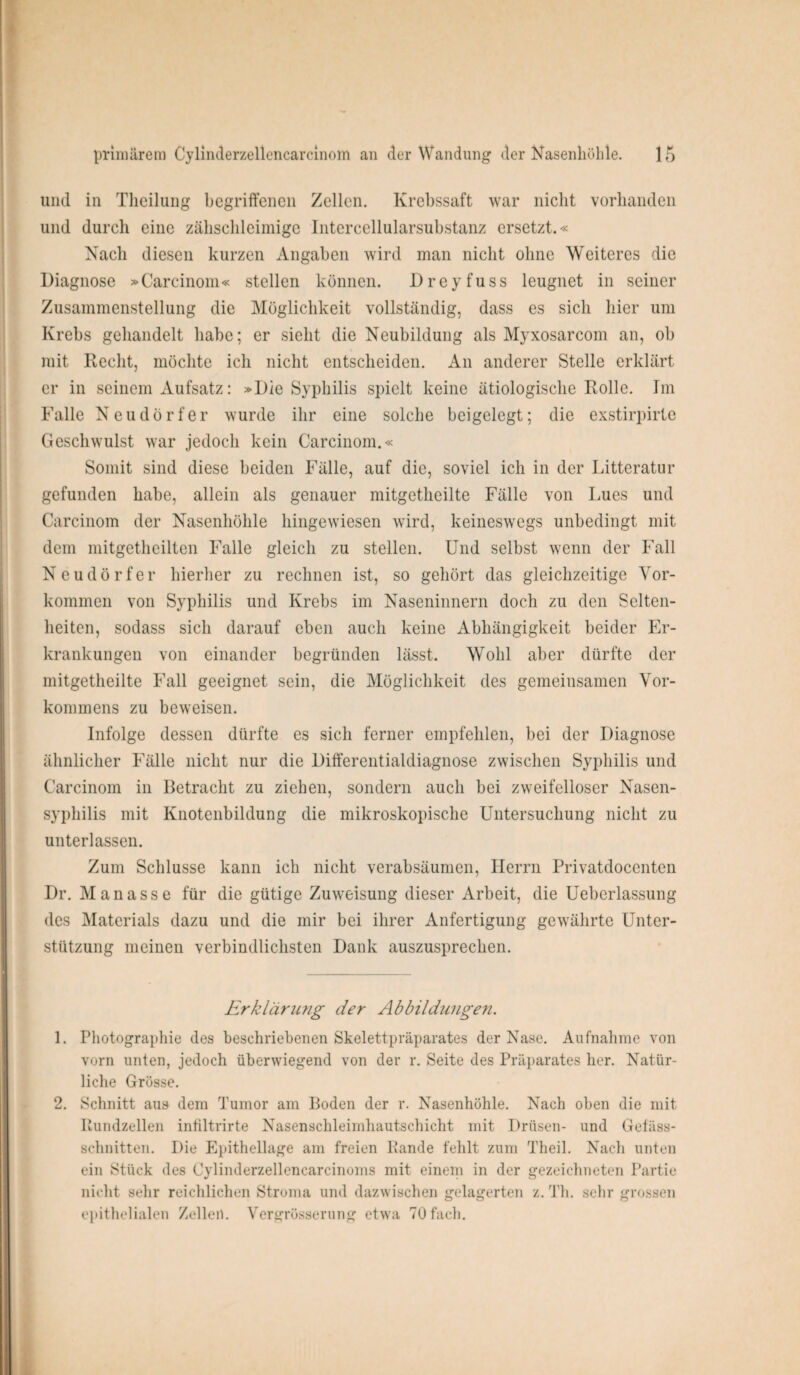 und in Theilung begriffenen Zellen. Krebssaft war nicht vorhanden und durch eine zähschleimige Intercellularsubstanz ersetzt.« Nach diesen kurzen Angaben wird man nicht ohne Weiteres die Diagnose »Carcinom« stellen können. Dreyfuss leugnet in seiner Zusammenstellung die Möglichkeit vollständig, dass es sich hier um Krebs gehandelt habe; er sieht die Neubildung als Myxosarcom an, ob mit Recht, möchte ich nicht entscheiden. An anderer Stelle erklärt er in seinem Aufsatz: »Die Syphilis spielt keine ätiologische Rolle. Im Falle Neudörfer wurde ihr eine solche beigelegt; die exstirpirte Geschwulst war jedoch kein Carcinom.« Somit sind diese beiden Fälle, auf die, soviel ich in der Litteratur gefunden habe, allein als genauer mitgetheilte Fälle von Lues und Carcinom der Nasenhöhle hingewiesen wird, keineswegs unbedingt mit dem mitgetheilten Falle gleich zu stellen. Und selbst wenn der Fall Neudörfer hierher zu rechnen ist, so gehört das gleichzeitige Vor¬ kommen von Syphilis und Krebs im Naseninnern doch zu den Selten¬ heiten, sodass sich darauf eben auch keine Abhängigkeit beider Er¬ krankungen von einander begründen lässt. Wohl aber dürfte der mitgetheilte Fall geeignet sein, die Möglichkeit des gemeinsamen Vor¬ kommens zu beweisen. Infolge dessen dürfte es sich ferner empfehlen, bei der Diagnose ähnlicher Fälle nicht nur die Differentialdiagnose zwischen Syphilis und Carcinom in Betracht zu ziehen, sondern auch bei zweifelloser Nasen¬ syphilis mit Knotenbildung die mikroskopische Untersuchung nicht zu unterlassen. Zum Schlüsse kann ich nicht verabsäumen, Herrn Privatdocenten Dr. Manasse für die gütige Zuweisung dieser Arbeit, die Ueberlassung des Materials dazu und die mir bei ihrer Anfertigung gewährte Unter¬ stützung meinen verbindlichsten Dank auszusprechen. Erklärung der Abbildungen. 1. Photographie des beschriebenen Skelettpräparates der Nase. Aufnahme von vorn unten, jedoch überwiegend von der r. Seite des Präparates her. Natür¬ liche Grösse. 2. Schnitt aus dem Tumor am Boden der r. Nasenhöhle. Nach oben die mit Rundzellen infiltrirte Nasenschleimhautschicht mit Drüsen- und Gefäss- sclmitten. Die Epithellage am freien Rande fehlt zum Theil. Nach unten ein Stück des Cylinderzellencarcinoms mit einem in der gezeichneten Partie nicht sehr reichlichen Stroma und dazwischen gelagerten z. Th. sehr grossen epithelialen Zellen. Vergrüsserung etwa 70 fach.