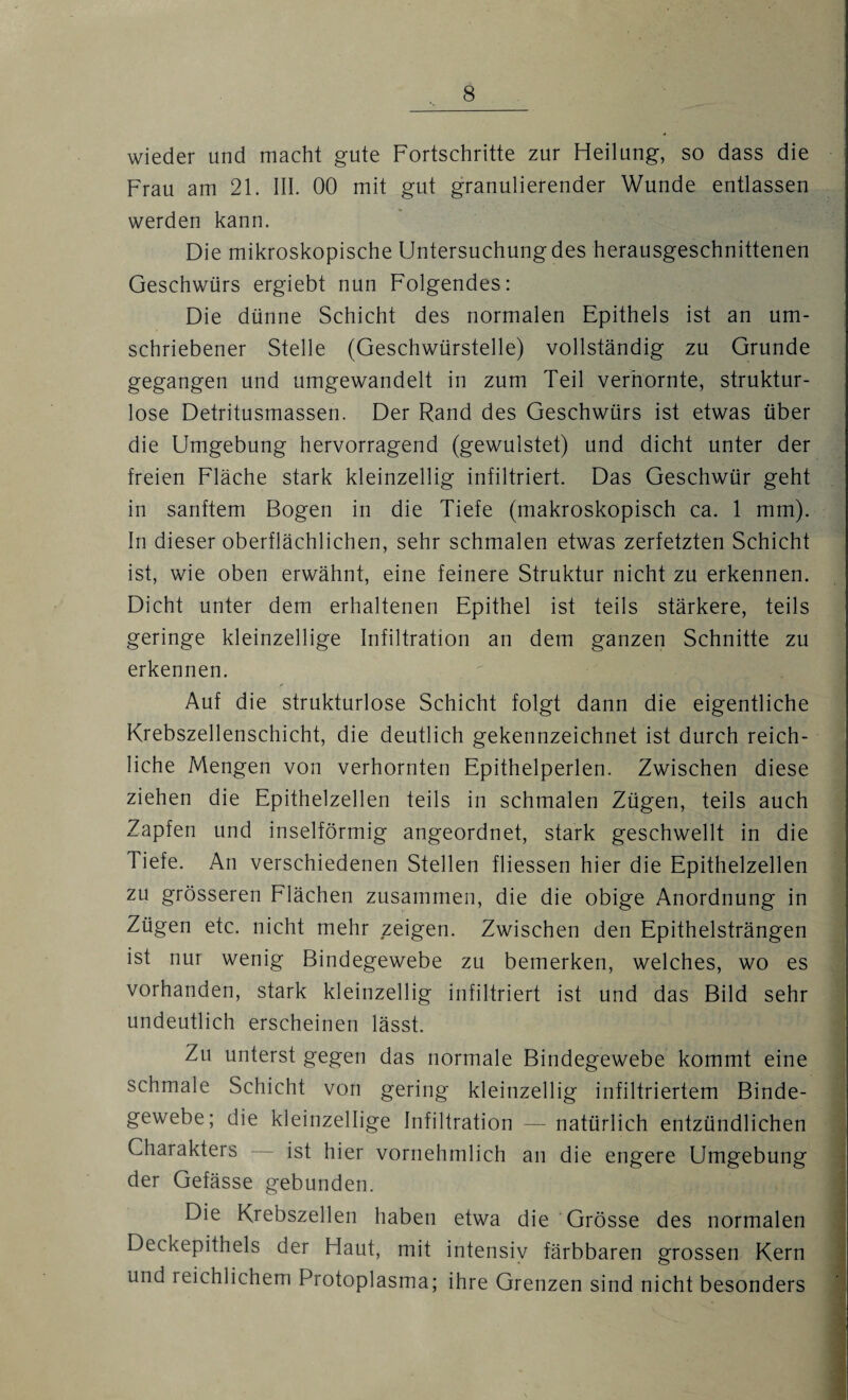 wieder und macht gute Fortschritte zur Heilung, so dass die Frau am 21. III. 00 mit gut granulierender Wunde entlassen werden kann. Die mikroskopische Untersuchung des herausgeschnittenen Geschwürs ergiebt nun Folgendes: Die dünne Schicht des normalen Epithels ist an um¬ schriebener Stelle (Geschwürstelle) vollständig zu Grunde gegangen und umgewandelt in zum Teil verhornte, struktur¬ lose Detritusmassen. Der Rand des Geschwürs ist etwas über die Umgebung hervorragend (gewulstet) und dicht unter der freien Fläche stark kleinzellig infiltriert. Das Geschwür geht in sanftem Bogen in die Tiefe (makroskopisch ca. 1 mm). In dieser oberflächlichen, sehr schmalen etwas zerfetzten Schicht ist, wie oben erwähnt, eine feinere Struktur nicht zu erkennen. Dicht unter dem erhaltenen Epithel ist teils stärkere, teils geringe kleinzellige Infiltration an dem ganzen Schnitte zu erkennen. Auf die strukturlose Schicht folgt dann die eigentliche Krebszellenschicht, die deutlich gekennzeichnet ist durch reich¬ liche Mengen von verhornten Epithelperlen. Zwischen diese ziehen die Epithelzellen teils in schmalen Zügen, teils auch Zapfen und inselförmig angeordnet, stark geschwellt in die Tiefe. An verschiedenen Stellen fliessen hier die Epithelzellen zu grösseren Flächen zusammen, die die obige Anordnung in Zügen etc. nicht mehr zeigen. Zwischen den Epithelsträngen ist nur wenig Bindegewebe zu bemerken, welches, wo es vorhanden, stark kleinzellig infiltriert ist und das Bild sehr undeutlich erscheinen lässt. Zu unterst gegen das normale Bindegewebe kommt eine schmale Schicht von gering kleinzellig infiltriertem Binde¬ gewebe; die kleinzellige Infiltration — natürlich entzündlichen Charakters ist hier vornehmlich an die engere Umgebung der Gefässe gebunden. Die Krebszellen haben etwa die Grösse des normalen Deckepithels der Haut, mit intensiv färbbaren grossen Kern und reichlichem Protoplasma; ihre Grenzen sind nicht besonders