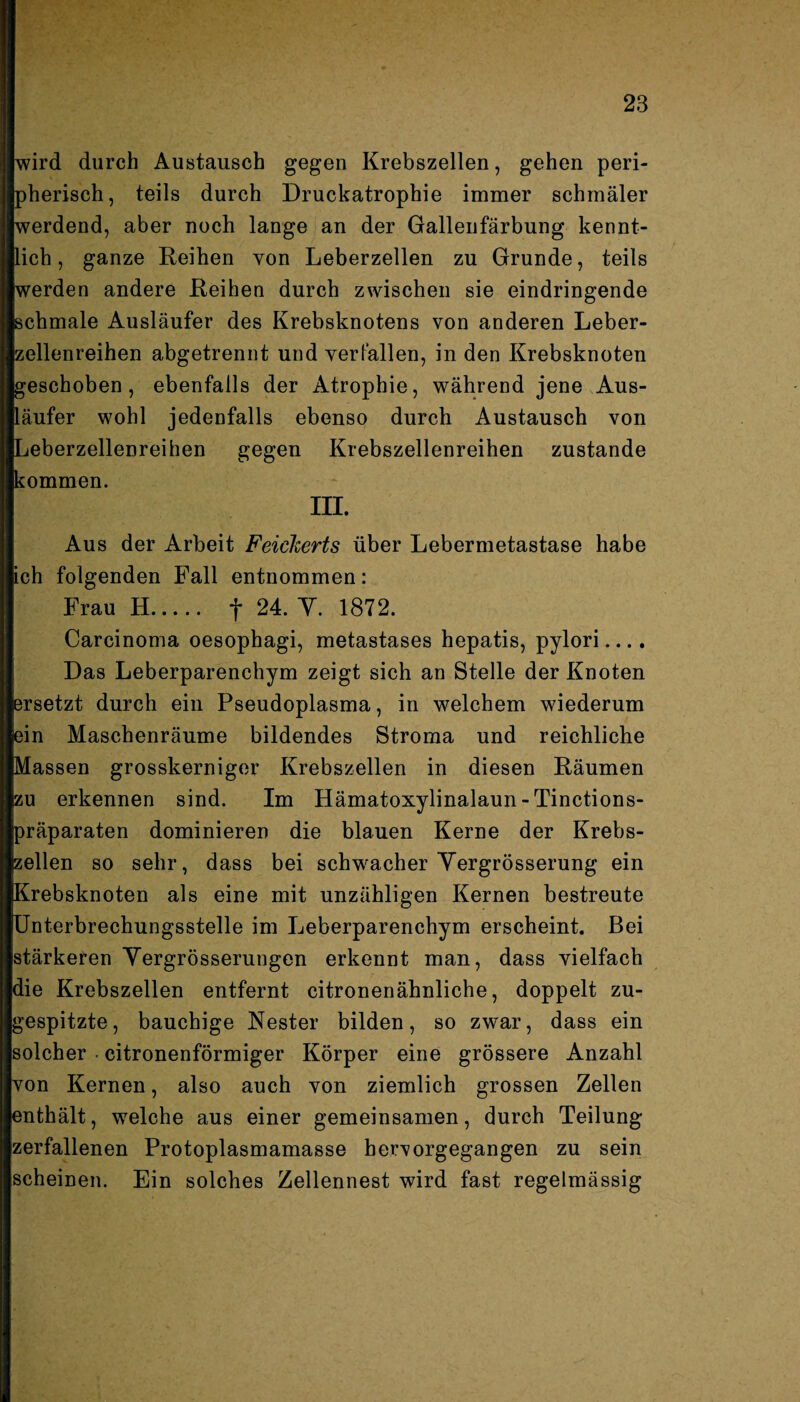wird durch Austausch gegen Krebszellen, gehen peri¬ pherisch, teils durch Druckatrophie immer schmäler werdend, aber noch lange an der Gallenfärbung kennt¬ lich, ganze Reihen von Leberzellen zu Grunde, teils werden andere Reihen durch zwischen sie eindringende schmale Ausläufer des Krebsknotens von anderen Leber¬ zellenreihen abgetrennt und verfallen, in den Krebsknoten geschoben, ebenfalls der Atrophie, während jene Aus¬ läufer wohl jedenfalls ebenso durch Austausch von Leberzellenreihen gegen Krebszellenreihen zustande kommen. III. Aus der Arbeit Feielierts über Lebermetastase habe ich folgenden Fall entnommen: Frau H. f 24. Y. 1872. Carcinoma oesophagi, metastases hepatis, pylori Das Leberparenchym zeigt sich an Stelle der Knoten ersetzt durch ein Pseudoplasma, in welchem wiederum ein Maschenräume bildendes Stroma und reichliche Massen grosskerniger Krebszellen in diesen Räumen zu erkennen sind. Im Hämatoxylinalaun-Tinctions- präparaten dominieren die blauen Kerne der Krebs¬ zellen so sehr, dass bei schwacher Yergrösserung ein Krebsknoten als eine mit unzähligen Kernen bestreute Unterbrechungsstelle im Leberparenchym erscheint. Bei stärkeren Yergrösserungen erkennt man, dass vielfach die Krebszellen entfernt citronenähnliche, doppelt zu¬ gespitzte, bauchige Nester bilden, so zwar, dass ein solcher • citronenförmiger Körper eine grössere Anzahl von Kernen, also auch von ziemlich grossen Zellen enthält, welche aus einer gemeinsamen, durch Teilung zerfallenen Protoplasmamasse hervorgegangen zu sein scheinen. Ein solches Zellennest wird fast regelmässig