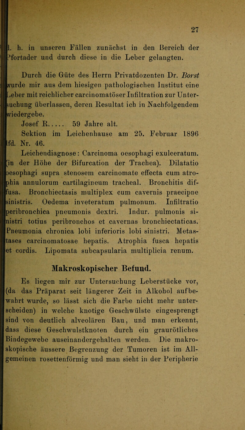 11. h. in unseren Fällen zunächst in den Bereich der IJfortader und durch diese in die Leber gelangten. Durch die Güte des Herrn Privatdozenten Dr. Borst purde mir aus dem hiesigen pathologischen Institut eine ■Leber mit reichlicher carcinomatöser Infiltration zur Unter¬ suchung überlassen, deren Resultat ich in Nachfolgendem Iviedergebe. Josef R. 59 Jahre alt. Sektion im Leichenhause am 25. Februar 1896 lfd. Nr. 46. Leichendiagnose : Carcinoma oesophagi exulceratum. lin der Höhe der Bifurcation der Trachea). Dilatatio [oesophagi supra stenosem carcinomate effecta cum atro- [phia annulorum cartilagineum tracheal. Bronchitis dif- pusa. Bronchiectasis multiplex cum cavernis praecipne pinistris. Oedema inveteratum pulmonum. Infiltratio peribronchica pneumonis dextri. Indur. pulmonis si- pistri totius peribronchos et cavernas bronchiectaticas. Pneumonia chronica lobi inferioris lobi sinistri. Metas- jtases carcinomatosae hepatis. Atrophia fusca hepatis tet cordis. Lipomata subcapsularia multiplicia renum. Makroskopischer Befund. Es liegen mir zur Untersuchung Leberstücke vor, (da das Präparat seit längerer Zeit in Alkohol aufbe¬ wahrt wurde, so lässt sich die Farbe nicht mehr unter¬ scheiden) in welche knotige Geschwülste eingesprengt sind von deutlich alveolären Bau, und man erkennt, dass diese Geschwulstknoten durch ein graurötliches Bindegewebe auseinandergehalten werden. Die makro¬ skopische äussere Begrenzung der Tumoren ist im All¬ gemeinen rosettenförmig und man sieht in der Peripherie