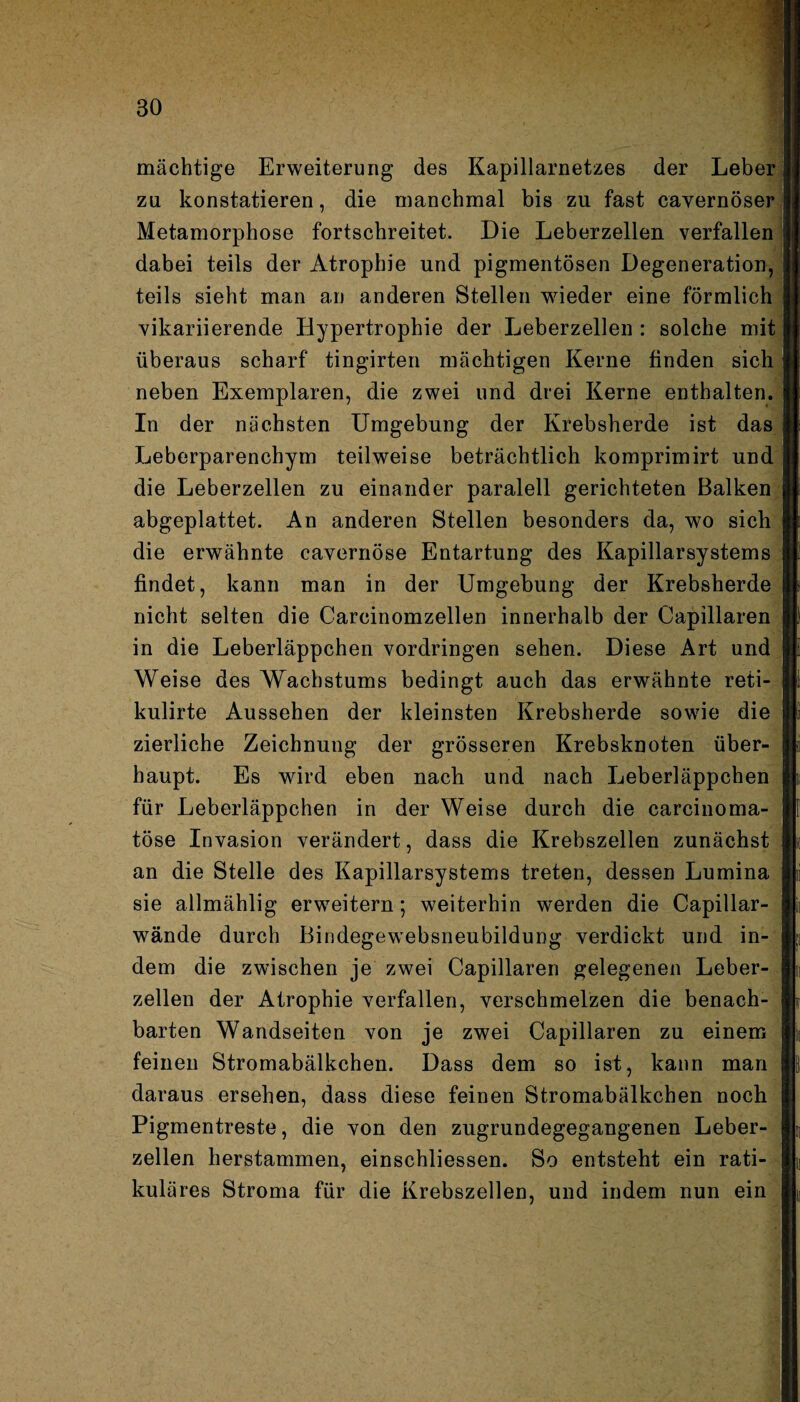 mächtige Erweiterung des Kapillarnetzes der Leber zu konstatieren, die manchmal bis zu fast cavernöser Metamorphose fortschreitet. Die Leberzellen verfallen dabei teils der Atrophie und pigmentösen Degeneration, teils sieht man an anderen Stellen wieder eine förmlich vikariierende Hypertrophie der Leberzellen : solche mit überaus scharf tingirten mächtigen Kerne finden sich neben Exemplaren, die zwei und drei Kerne enthalten. In der nächsten Umgebung der Krebsherde ist das Leberparenchym teilweise beträchtlich komprimirt und die Leberzellen zu einander paralell gerichteten Balken abgeplattet. An anderen Stellen besonders da, wo sich die erwähnte cavernöse Entartung des Kapillarsystems findet, kann man in der Umgebung der Krebsherde nicht selten die Carcinomzellen innerhalb der Capillaren in die Leberläppchen Vordringen sehen. Diese Art und Weise des Wachstums bedingt auch das erwähnte reti- kulirte Aussehen der kleinsten Krebsherde sowie die zierliche Zeichnung der grösseren Krebsknoten über¬ haupt. Es wird eben nach und nach Leberläppchen für Leberläppchen in der Weise durch die carcinoma- töse Invasion verändert, dass die Krebszellen zunächst an die Stelle des Kapillarsystems treten, dessen Lumina sie allmählig erweitern; weiterhin werden die Capillar- wände durch Bindegewebsneubildung verdickt und in¬ dem die zwischen je zwei Capillaren gelegenen Leber¬ zellen der Atrophie verfallen, verschmelzen die benach¬ barten Wandseiten von je zwei Capillaren zu einem feinen Stromabälkchen. Dass dem so ist, kann man daraus ersehen, dass diese feinen Stromabälkchen noch Pigmentreste, die von den zugrundegegangenen Leber¬ zellen herstammen, einschliessen. So entsteht ein rati- kuläres Stroma für die Krebszellen, und indem nun ein I li 1] w