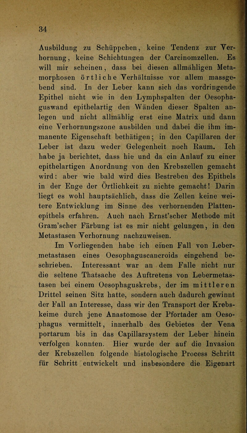 Ausbildung zu Schüppchen, keine Tendenz zur Yer- hornung, keine Schichtungen der Carcinomzellen. Es will mir scheinen, dass bei diesen allmähligen Meta¬ morphosen örtliche Yerhältnisse vor allem massge¬ bend sind. In der Leber kann sich das vordringende Epithel nicht wie in den Lymphspalten der Oesopha- guswand epithelartig den Wänden dieser Spalten an- legen und nicht allmählig erst eine Matrix und dann eine Yerhornungszone ausbilden und dabei die ihm im¬ manente Eigenschaft bethätigen; in den Capillaren der Leber ist dazu weder Gelegenheit noch Kaum. Ich habe ja berichtet, dass hie und da ein Anlauf zu einer epithelartigen Anordnung von den Krebszellen gemacht wird: aber wie bald wird dies Bestreben des Epithels in der Enge der Örtlichkeit zu nichte gemacht! Darin liegt es wohl hauptsächlich, dass die Zellen keine wei¬ tere Entwicklung im Sinne des verhornenden Platten¬ epithels erfahren. Auch nach Ernst’scher Methode mit Gram’scher Färbung ist es mir nicht gelungen, in den Metastasen Yerhornung nachzuweisen. Im Vorliegenden habe ich einen Fall von Leber¬ metastasen eines Oesophaguscancroids eingehend be¬ schrieben. Interessant war an dem Falle nicht nur die seltene Thatsache des Auftretens von Lebermetas¬ tasen bei einem Oesophaguskrebs, der im mittleren Drittel seinen Sitz hatte, sondern auch dadurch gewinnt der Fall an Interesse, dass wir den Transport der Krebs¬ keime durch jene Anastomose der Pfortader am Oeso¬ phagus vermittelt, innerhalb des Gebietes der Yena portarum bis in das Capillarsystem der Leber hinein verfolgen konnten. Hier wurde der auf die Invasion der Krebszellen folgende histologische Process Schritt für Schritt entwickelt und insbesondere die Eigenart