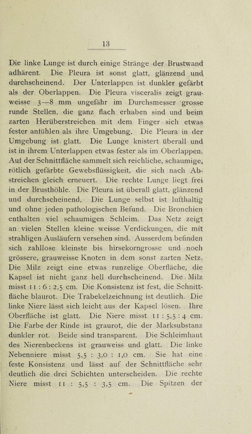 Die linke Lunge ist durch einige Stränge der Brustwand adhärent. Die Pleura ist sonst glatt, glänzend und. durchscheinend. Der Unterlappen ist dunkler gefärbt als der Oberlappen. Die Pleura viseeralis zeigt grau- weisse 3—8 mm ungefähr im Durchsmesser ^grosse runde Stellen, die ganz flach erhaben sind und beim zarten Herüberstreichen mit dem Finger sich etwas fester antühlen als ihre Umgebung. Die Pleura in der Umgebung ist, glatt. Die Lunge knistert überall und ist in ihrem LTnterlappen etwas fester als im Oberlappen. Aul der Schnittfläche sammelt sich reichliche, schaumige, rötlich gefärbte Gewebsflüssigkeit, die sich nach Ab¬ streichen gleich erneuert. Die rechte Lunge liegt frei in der Brusthöhle. Die Pleura ist überall glatt, glänzend und durchscheinend. Die Lunge selbst ist lufthaltig und ohne jeden pathologischen Befund. Die Bronchien enthalten viel schaumigen Schleim. Das Netz zeigt an vielen Stellen kleine weisse Verdickungen, die mit strahligen Ausläufern versehen sind. Ausserdem befinden sich zahllose kleinste bis hirsekorngrosse und noch grössere, grauweisse Knoten in dem sonst zarten Netz. Die Milz zeigt eine etwas runzelige Oberfläche, die Kapsel ist nicht ganz hell durchscheinend. Die . Milz misst 11 : 6 : 2,5 cm. Die Konsistenz ist fest, die Schnitt¬ fläche blaurot. Die Trabekelzeichnung ist deutlich. Die linke Niere lässt sich leicht aus der Kapsel lösen. Ihre Oberfläche ist glatt. Die Niere misst II 15.5:4 cm. Die Farbe der Rinde ist graurot, die der Marksubstanz dunkler rot. Beide sind transparent. Die Schleimhaut des Nierenbeckens ist grauweiss und glatt. Die linke Nebenniere misst 5,5 : 3,0 : 1,0 cm. Sie hat eine feste Konsistenz und lässt auf der Schnittfläche sehr deutlich die drei Schichten unterscheiden. Die rechte Niere misst 11 : 5,5 : 3,5 cm. Die Spitzen der