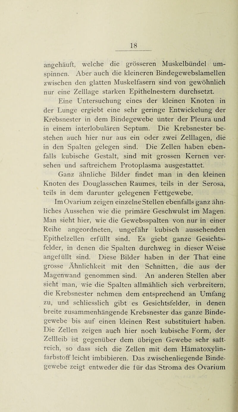 angehäuft, welche die grösseren Muskelbündel um¬ spinnen. Aber auch die kleineren Bindegewebslamellen zwischen den glatten Muskelfasern sind von gewöhnlich nur eine Zeillage starken Epithelnestern durchsetzt. Eine Untersuchung eines der kleinen Knoten in der Lunge ergiebt eine sehr geringe Entwickelung der Krebsnester in dem Bindegewebe unter der Pleura und in einem interlobulären Septum. Die Krebsnester be¬ stehen auch hier nur aus ein oder zwei Zelllagen, die in den Spalten gelegen sind. Die Zellen haben eben¬ falls kubische Gestalt, sind mit grossen Kernen ver¬ sehen und saftreichem Protoplasma ausgestattet. Ganz ähnliche Bilder findet man in den kleinen Knoten des Douglasschen Raumes, teils in der Serosa, teils in dem darunter gelegenen Fettgewebe. ImOvarium zeigen einzelne Stellen ebenfalls ganz ähn¬ liches Aussehen wie die primäre Geschwulst im Magen. Man sieht hier, wie die Gewebsspalten von nur in einer Reihe angeordneten, ungefähr kubisch aussehenden Epithelzellen erfüllt sind. Es giebt ganze Gesichts¬ felder, in denen die Spalten durchweg in dieser Weise angefüllt sind. Diese Bilder haben in der That eine grosse Ähnlichkeit mit den Schnitten, die aus der Magenwand genommen sind. An anderen Stellen aber sieht man, wie die Spalten allmählich sich verbreitern, die Krebsnester nehmen dem entsprechend an Umfang zu, und schliesslich gibt es Gesichtsfelder, in denen breite zusammenhängende Krebsnester das ganze Binde¬ gewebe bis auf einen kleinen Rest substituiert haben. Die Zellen zeigen auch hier noch kubische Form, der Zellleib ist gegenüber dem übrigen Gewebe sehr saft¬ reich, so dass sich die Zellen mit dem Hämatoxylin- farbstoff leicht imbibieren. Das zwischenliegende Binde¬ gewebe zeigt entweder die für das Stroma des Ovarium