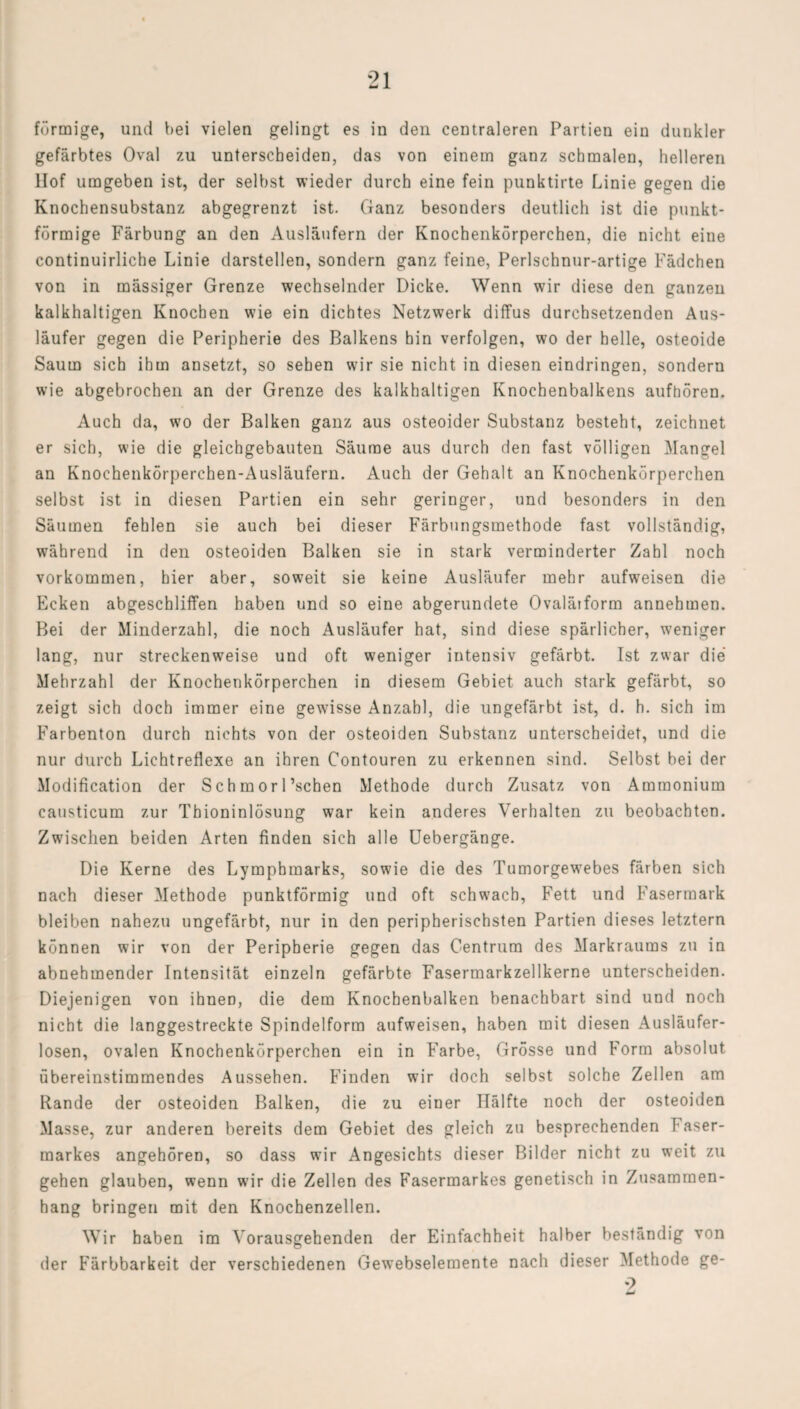 förmige, und bei vielen gelingt es in den centraleren Partien ein dunkler gefärbtes Oval zu unterscheiden, das von einem ganz schmalen, helleren Hof umgeben ist, der selbst wieder durch eine fein punktirte Linie gegen die Knochensubstanz abgegrenzt ist. Ganz besonders deutlich ist die punkt¬ förmige Färbung an den Ausläufern der Knochenkörperchen, die nicht eine continuirliche Linie darstellen, sondern ganz feine, Perlschnur-artige Fädchen von in mässiger Grenze wechselnder Dicke. Wenn wir diese den ganzen kalkhaltigen Knochen wie ein dichtes Netzwerk diffus durchsetzenden Aus¬ läufer gegen die Peripherie des Balkens bin verfolgen, wo der belle, osteoide Saum sich ihm ansetzt, so sehen wir sie nicht in diesen eindringen, sondern wie abgebrochen an der Grenze des kalkhaltigen Knochenbalkens aufhören. Auch da, wo der Balken ganz aus osteoider Substanz besteht, zeichnet er sich, wie die gleichgebauten Säume aus durch den fast völligen Mangel an Knochenkörperchen-Ausläufern. Auch der Gehalt an Knochenkörperchen selbst ist in diesen Partien ein sehr geringer, und besonders in den Säumen fehlen sie auch bei dieser Färbungsmethode fast vollständig, während in den osteoiden Balken sie in stark verminderter Zahl noch Vorkommen, hier aber, soweit sie keine Ausläufer mehr aufweisen die Ecken abgeschliffen haben und so eine abgerundete Ovaläiform annehmen. Bei der Minderzahl, die noch Ausläufer hat, sind diese spärlicher, weniger lang, nur streckenweise und oft weniger intensiv gefärbt. Ist zwar die Mehrzahl der Knochenkörperchen in diesem Gebiet auch stark gefärbt, so zeigt sich doch immer eine gewisse Anzahl, die ungefärbt ist, d. h. sich im Farbenton durch nichts von der osteoiden Substanz unterscheidet, und die nur durch Lichtreflexe an ihren Contouren zu erkennen sind. Selbst bei der Modification der Schmorl’schen Methode durch Zusatz von Ammonium causticum zur Thioninlösung war kein anderes Verhalten zu beobachten. Zwischen beiden Arten finden sich alle Uebergänge. Die Kerne des Lymphmarks, sowie die des Tumorgewebes färben sich nach dieser Methode punktförmig und oft schwach, Fett und Fasermark bleiben nahezu ungefärbt, nur in den peripherischsten Partien dieses letztem können wir von der Peripherie gegen das Centrum des Markraums zu in abnehmender Intensität einzeln gefärbte Fasermarkzellkerne unterscheiden. Diejenigen von ihnen, die dem Knochenbalken benachbart sind und noch nicht die langgestreckte Spindelform aufweisen, haben mit diesen Ausläufer¬ losen, ovalen Knochenkörperchen ein in Farbe, Grösse und Form absolut übereinstimmendes Aussehen. Finden wir doch selbst solche Zellen am Rande der osteoiden Balken, die zu einer Hälfte noch der osteoiden Masse, zur anderen bereits dem Gebiet des gleich zu besprechenden f aser- raarkes angehören, so dass wir Angesichts dieser Bilder nicht zu weit zu gehen glauben, wenn wir die Zellen des Fasermarkes genetisch in Zusammen¬ hang bringen mit den Knochenzellen. Wir haben im Vorausgehenden der Einfachheit halber beständig von der Färbbarkeit der verschiedenen Gewebselemente nach dieser Methode ge- 9