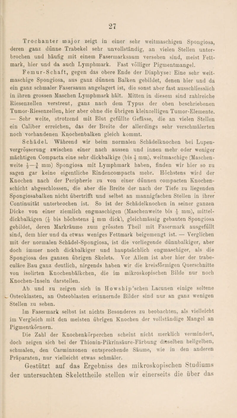 Trochanter major zeigt in einer sehr weitmaschigen Spongiosa, deren ganz dünne Trabekel sehr unvollständig, an vielen Stellen unter¬ brochen und häufig mit einem Fasermarksaum versehen sind, meist Fett¬ mark, hier und da auch Lymphmark. Fast völliger Pigmentmangel. Femur-Schaft, gegen das obere Ende der Diaphyse: Eine sehr weit¬ maschige Spongiosa, aus ganz dünnen Balken gebildet, denen hier und da ein ganz schmaler Fasersaum angelagert ist, die sonst aber fast ausschliesslich in ihren grossen Maschen Lymphmark hält. Mitten in diesem sind zahlreiche Riesenzellen verstreut, ganz nach dem Typus der oben beschriebenen Tumor-Riesenzellen, hier aber ohne die übrigen kleinzelligen Tumor-Elemente. — Sehr weite, strotzend mit Blut gefüllte Gefässe, die an vielen Stellen ein Caliber erreichen, das der Breite der allerdings sehr verschmälerten noch vorhandenen Knochenbalken gleich kommt. Schädel. Während wir beim normalen Schädelknochen bei Lupen- vergrösserung zwischen einer nach aussen und innen mehr oder weniger mächtigen Compacta eine sehr dickbalkige (bis \ mm), weitmaschige (Maschen¬ weite ^—£ mm) Spongiosa mit Lymphmark haben, finden wir hier so zu sagen gar keine eigentliche Rindencompacta mehr. Höchstens wird der Knochen nach der Peripherie zu von einer dünnen compacten Knochen¬ schicht abgeschlossen, die aber die Breite der nach der Tiefe zu liegenden Spongiosabalken nicht übertrifft und selbst an mannigfachen Stellen in ihrer Continuität unterbrochen ist. So ist der Schädelknochen in seiner ganzen Dicke von einer ziemlich engmaschigen (Maschenweite bis £ mm), mittel- dickbalkigen (£ bis höchstens l mm dick), gleiehmässig gebauten Spongiosa gebildet, deren Markräume zum grössten Theil mit Fasermark ausgefüllt sind, dem hier und da etwas weniges Fettmark beigemengt ist. — Verglichen mit der normalen Schädel-Spongiosa, ist die vorliegende dünnbalkiger, aber doch immer noch dickbalkiger und hauptsächlich engmaschiger, als die Spongiosa des ganzen übrigen Skelets. Vor Allem ist aber hier der trabe- culäre Bau ganz deutlich, nirgends haben wir die kreisförmigen Querschnitte von isolirten Knochenbälkchen, die im mikroskopischen Bilde nur noch Knochen-Inseln darstellen. Ab und zu zeigen sich in Howship'sehen Lacunen einige seltene ^ Osteoklasten, an Osteoblasten erinnernde Bilder sind nur an ganz wenigen Stellen zu sehen. Im Fasermark selbst ist nichts Besonderes zu beobachten, als vielleicht im Vergleich mit den meisten übrigen Knochen der vollständige Mangel an Pigmentkörnern. Die Zahl der Knochenkörperchen scheint nicht merklich vermindert, doch zeigen sich bei der Thionin-Pikrinsäure-Färbung dieselben hellgelben, schmalen, den Carminzonen entsprechende Säume, wie in den anderen Präparaten, nur vielleicht etwas schmäler. Gestützt auf das Ergebniss des mikroskopischen Studiums der untersuchten Skelettheile stellen wir einerseits die über das
