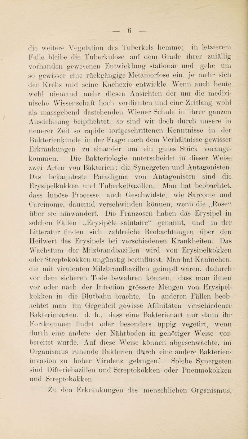 die weitere Vegetation des Tuberkels hemme; in letzterem Falle bleibe die Tuberkulose auf dem Grade ihrer zufällig vorhanden gewesenen Entwicklung stationär und gehe um so gewisser eine rückgängige Metamorfose ein, je mehr sich der Krebs und seine Kachexie entwickle. Wenn auch heute wohl niemand mehr diesen Ansichten der um die medizi¬ nische Wissenschaft hoch verdienten und eine Zeitlang wohl als massgebend dastehenden Wiener Schule in ihrer ganzen Ausdehnung beipflichtet, so sind wir doch durch unsere in neuerer Zeit so rapide fortgeschrittenen Kenntnisse in der Bakterienkunde in der Frage nach dem Verhältnisse gewisser Erkrankungen zu einander um ein gutes Stück vorange¬ kommen. Die Bakteriologie unterscheidet in dieser Weise zwei Arten von Bakterien: die Synergeten und Antagonisten. Das bekannteste Paradigma von Antagonisten sind die Erysipelkokken und Tuberkelbazillen. Man hat beobachtet, dass lupöse Processe, auch Geschwülste, wie Sarcome und Garcinome, dauernd verschwinden können, wenn die ,,Roseu über sie hin wandert. Die Franzosen haben das Erysipel in solchen Fällen ,,Erysipele salutaire“ genannt, und in der Litteratur finden sich zahlreiche Beobachtungen über den Heilwert des Erysipels bei verschiedenen Krankheiten. Das Wachstum der Milzbrandbazillen wird von Erysipelkokken oder Streptokokken ungünstig beeinflusst. Man hat Kaninchen, die mit virulenten Milzbrandbazillen geimpft waren, dadurch vor dem sicheren Tode bewahren können, dass man ihnen vor oder nach der Infection grössere Mengen von Erysipel¬ kokken in die Blutbahn brachte. In anderen Fällen beob¬ achtet man im Gegenteil gewisse Affinitäten verschiedener Bakterienarten, d. h., dass eine Bakterienart nur dann ihr Fortkommen findet oder besonders üppig vegetirt, wenn durch eine andere der Nährboden in gehöriger Weise vor¬ bereitet wurde. Auf diese Weise können abgeschwächte, im Organismus ruhende Bakterien durch eine andere Bakterien¬ invasion zu hoher Virulenz gelangen.* Solche Synergeten sind Difteriebazillen und Streptokokken oder Pneumokokken und Streptokokken. Zu den Erkrankungen des menschlichen Organismus,