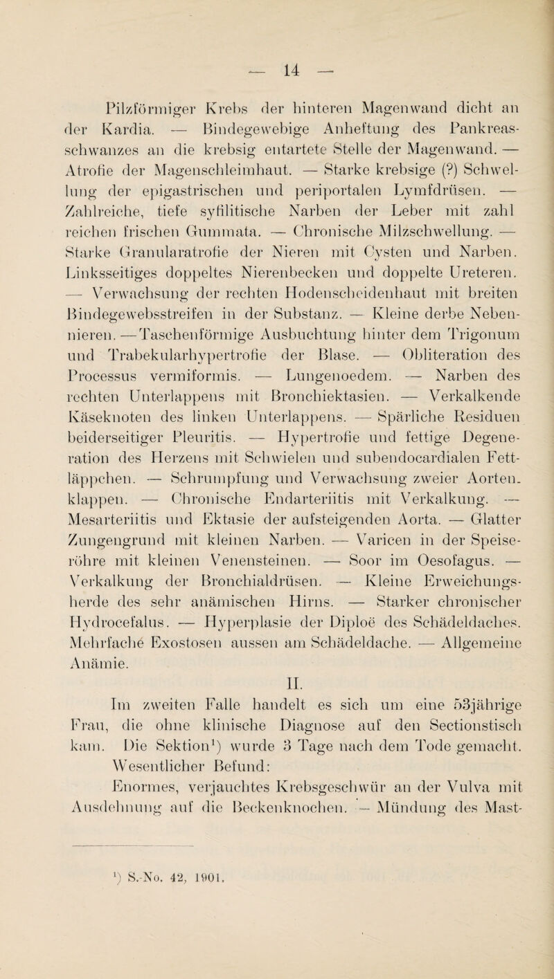 Pilzförmiger Krebs der hinteren Magenwand dicht an der Kardia. — Bindegewebige Anheftung des Pankreas¬ schwanzes an die krebsig entartete Stelle der Magenwand. — Atrofie der Magenschleimhaut. — Starke krebsige (?) Schwel¬ lung der epigastrischen und periportalen Lymfdrüsen. — Zahlreiche, tiefe syfilitische Narben der Leber mit zahl reichen frischen Gumraata. — Chronische Milzschwellung. — Starke Granularatrofie der Nieren mit Cysten und Narben. Linksseitiges doppeltes Nierenbecken und doppelte Ureteren. — Verwachsung der rechten Hodenscheidenhaut mit breiten Bindegewebsstreifen in der Substanz. — Kleine derbe Neben¬ nieren.— Taschenförmige Ausbuchtung hinter dem Trigonum und Trabekularhypertrofie der Blase. — Obliteration des Processus vermiformis. — Lungenoedem. — Narben des rechten Unterlappens mit Bronchiektasien. — Verkalkende Käseknoten des linken Unterlappens. — Spärliche Residuen beiderseitiger Pleuritis. — Hypertrofie und fettige Degene¬ ration des Herzens mit Schwielen und subendocardialen Fett¬ läppchen. — Schrumpfung und Verwachsung zweier Aorten, klappen. — Chronische Endarteriitis mit Verkalkung. — Mesarteriitis und Ektasie der aufsteigenden Aorta. — Glatter Zungengrund mit kleinen Narben. — Varicen in der Speise¬ röhre mit kleinen Venensteinen. — Soor im Oesofagus. — Verkalkung der Bronchialdrüsen. — Kleine Erweichungs¬ herde des sehr anämischen Hirns. — Starker chronischer Hydrocefalus. — Hyperplasie der Diploe des Schädeldaches. Mehrfache Exostosen aussen am Schädeldache. — Allgemeine Anämie. II. Im zweiten Falle handelt es sich um eine 53jährige Frau, die ohne klinische Diagnose auf den Sectionstisch kam. Die Sektion1) wurde 3 Tage nach dem Tode gemacht. Wesentlicher Befund: Enormes, verjauchtes Krebsgeschwür an der Vulva mit Ausdehnung auf die Beckenknochen. ■— Mündung des Mast- x) S.-No. 42, 1901,