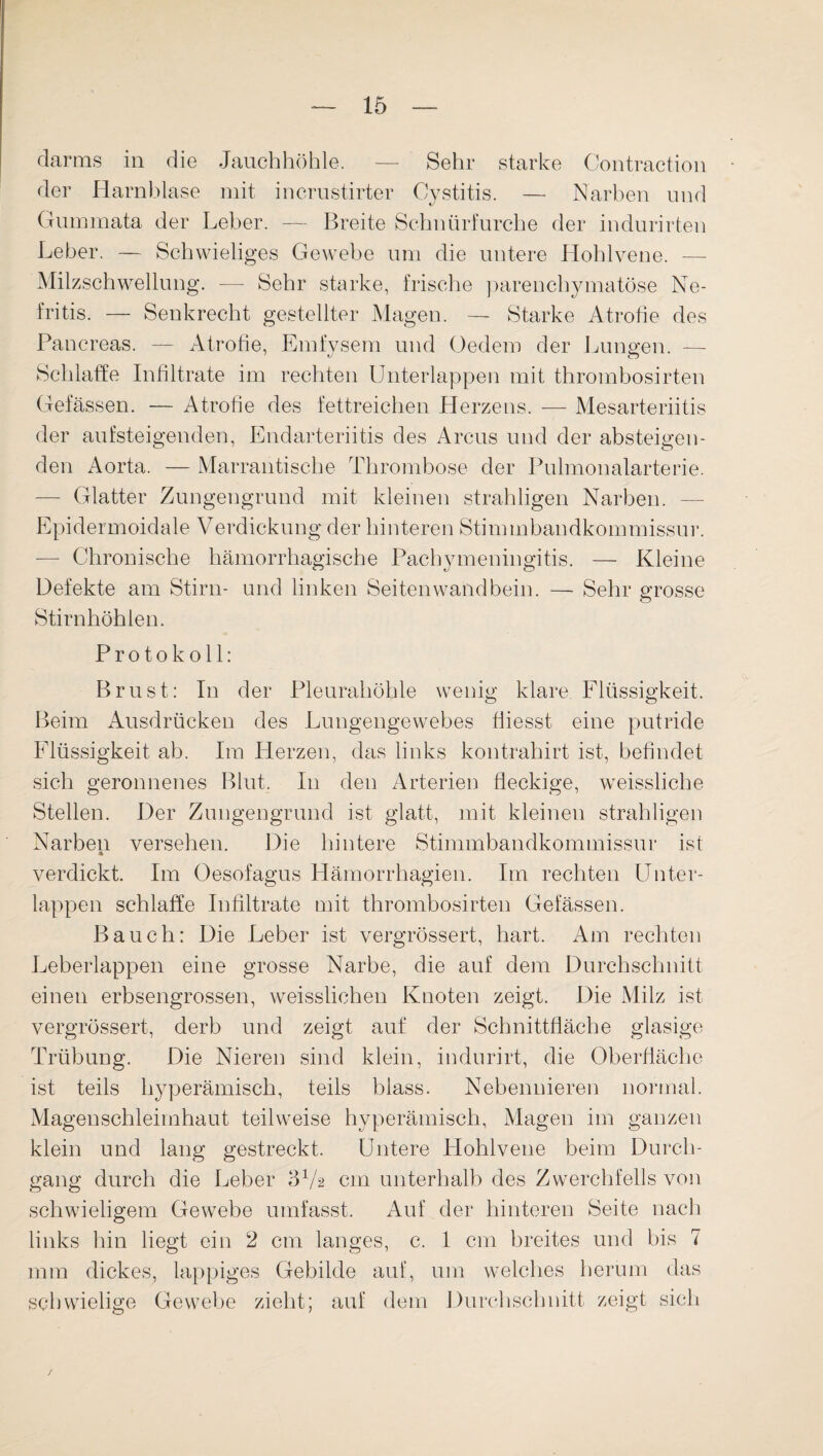 darms in die Jauchhöhle. — Sehr starke Contraction der Harnblase mit incrustirter Cystitis. — Narben und Gummata der Leber. — Breite Schnürfurche der indurirten Leber. — Schwieliges Gewebe um die untere Hohlvene. — Milzschwellung. — Sehr starke, frische parenchymatöse Ne- fritis. — Senkrecht gestellter Magen. — Starke Atrofie des Pancreas. — Atrofie, Emfysem und (Jedem der Lungen. — Schlaffe Infiltrate im rechten Unterlappen mit thrombosirten Gelassen. — Atrofie des fettreichen Herzens. — Mesarteriitis der aufsteigenden, Endarteriitis des Arcus und der absteigen¬ den Aorta. — Marrantische Thrombose der Pulmonalarterie. — Glatter Zungengrund mit kleinen strahligen Narben. Epidermoidale Verdickung der hinteren Stimmbandkommissur. — Chronische hämorrhagische Paehymeningitis. — Kleine Defekte am Stirn- und linken Seitenwandbein. — Sehr grosse Stirnhöhlen. Protokoll: Brust: In der Pleurahöhle wenig klare. Flüssigkeit. Beim Ausdrücken des Lungengewebes fiiesst eine putride Flüssigkeit ab. Im Herzen, das links kontrahirt ist, befindet sich geronnenes Blut, In den Arterien fleckige, weissliche Stellen. Der Zungengrund ist glatt, mit kleinen strahligen Narben versehen. Die hintere Stimmbandkommissur ist * verdickt. Im Oesofagus Hämorrhagien. Im rechten Unter¬ lappen schlaffe Infiltrate mit thrombosirten Gelassen. Bauch: Die Leber ist vergrössert, hart. Am rechten Leberlappen eine grosse Narbe, die auf dem Durchschnitt einen erbsengrossen, weisslichen Knoten zeigt. Die Milz ist vergrössert, derb und zeigt auf der Schnittfläche glasige Trübung. Die Nieren sind klein, indurirt, die Oberfläche ist teils hyperämisch, teils blass. Nebennieren normal. Magenschleimhaut teilweise hyperämisch, Magen im ganzen klein und lang gestreckt. Untere Hohlvene beim Durch¬ gang durch die Leber 372 cm unterhalb des Zwerchfells von schwieligem Gewebe umfasst. Auf der hinteren Seite nach links hin liegt ein 2 cm langes, c. I cm breites und bis 7 mm dickes, lappiges Gebilde auf, um welches herum das schwielige Gewebe zieht; auf dem Durchschnitt zeigt sich