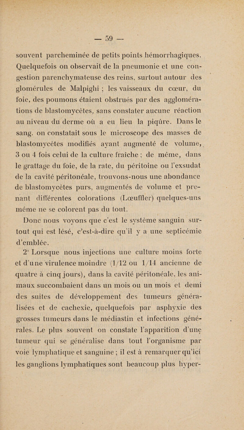 souvent parcheminée de petits points hémorrhagiques. Quelquefois on observait de la pneumonie et une con¬ gestion parenchymateuse des reins, surtout autour des glomérules de Malpighi ; les vaisseaux du cœur, du foie, des poumons étaient obstrués par des aggloméra¬ tions de blastomycètes, sans constater aucune réaction au niveau du derme où a eu lieu la piqûre. Dans le sang, on constatait sous le microscope des masses de blastomycètes modifiés ayant augmenté de volume, 3 ou 4 fois celui de la culture fraîche ; de même, dans le grattage du foie, de la rate, du péritoine ou l’exsudât de la cavité péritonéale, trouvons-nous une abondance de blastomycètes purs, augmentés de volume et pre¬ nant différentes colorations (Lœuffler) quelques-uns même ne se colorent pas du tout. Donc nous voyons que c’est le système sanguin sur¬ tout qui est lésé, c’est-à-dire qu’il y a une septicémie d’emblée. 2° Lorsque nous injections une culture moins forte et d’une virulence moindre (1/12 ou 1/14 ancienne de quatre à cinq jours), dans la cavité péritonéale, les ani¬ maux succombaient dans un mois ou un mois et demi des suites de développement des tumeurs généra¬ lisées et de cachexie, quelquefois par asphyxie des grosses tumeurs dans le médiastin et infections géné¬ rales. Le plus souvent on constate l’apparition d’une tumeur qui se généralise dans tout l’organisme par voie lymphatique et sanguine ; il est à remarquer qu’ici les ganglions lymphatiques sont beaucoup plus hyper- \