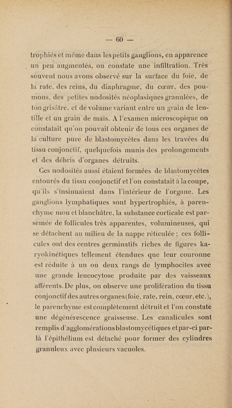 troplîiés et îiiôme dans les petits ganglions, en apparence un peu augmentés, on constate une infiltration. Très souvent nous avons observé sur la surface du foie, de la rate, des reins, du diaphragme, du cœur, des pou¬ mons, des petites nodosités néoplasiques granulées, de ton grisâtre, et de volume variant entre un grain de len¬ tille et un grain de maïs. A l’examen microscopique on constatait qu’on pouvait obtenir de tous ces organes de la culture pure de blastornycètes dans les travées du tissu conjonctif, quelquefois munis des ])rolongements et des débris d’organes détruits. Ges nodosités aussi étaient formées de blastornycètes entourés du tissu conjonctif et l’on constatait à la coupe, qu’ils s’insinuaient dans l’intérieur de l’organe. Les ganglions lymphatiques sont hypertrophiés, à paren¬ chyme mou et blanchâtre, la substance corticale est par¬ semée de follicules très apparentes, volumineuses, qui se détachent au milieu de la nappe réticulée ; ces folli¬ cules ont des centres germinatifs riches de figures ka- ryokiiiétiqiies tellement étendues que leur couronne est réduite à un ou deux rangs de lymphocites avec une grande leucocytose produite par des vaisseaux afférents. De plus, on observe une prolifération du tissu conjonctif des autres organes(foie, rate, rein, cœur, etc.), le parenchyme est complètement détruit et Ton constate une dégénérescence graisseuse. Les canalicules sont remplis d’agglomérationsblastomycétiques etpar-ci par- là répithélium est détaché pour former des cylindres granuleux avec plusieurs vacuoles.