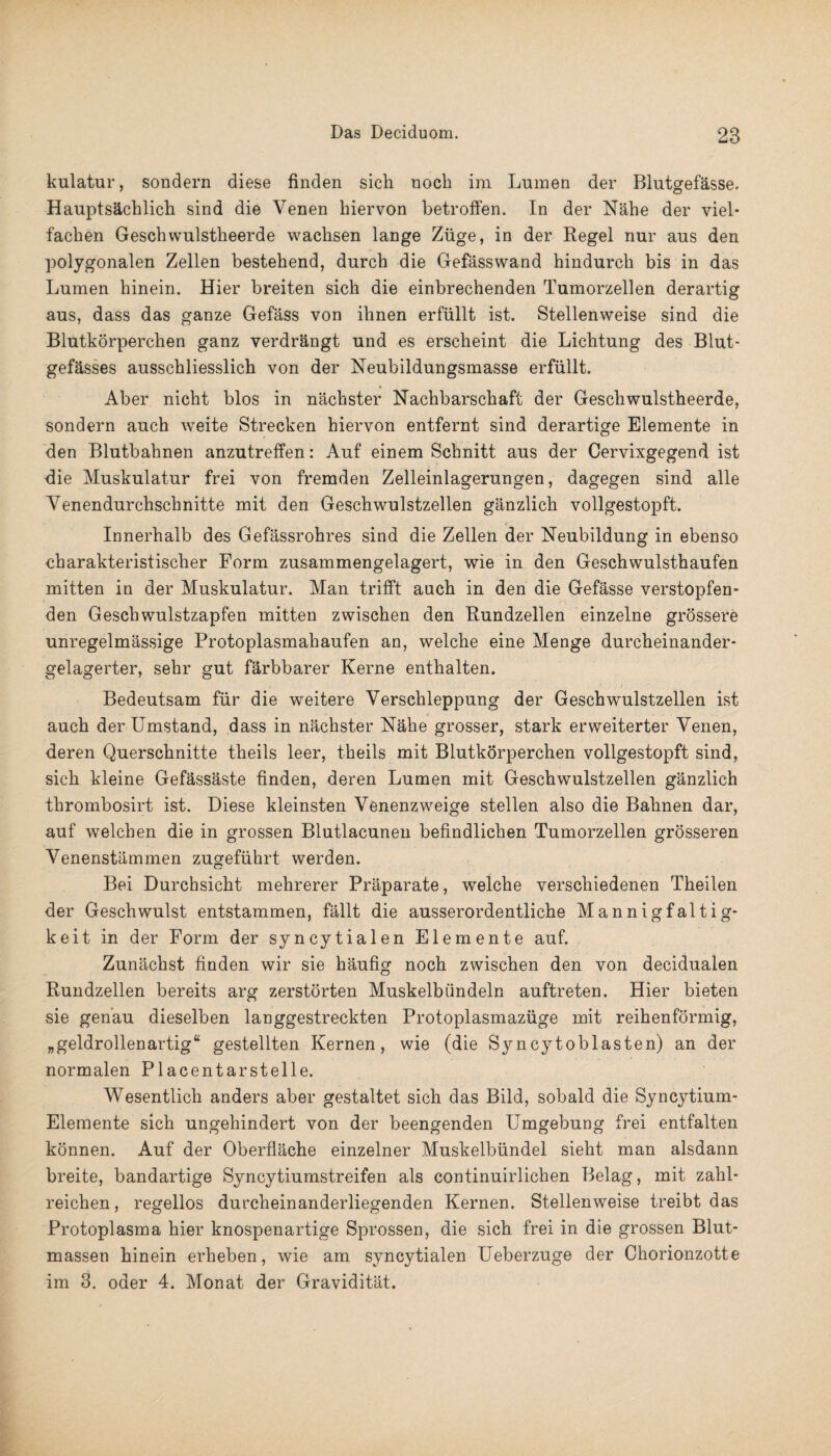 kulatur, sondern diese finden sieh noch im Lumen der Blutgefässe. Hauptsächlich sind die Venen hiervon betroffen. In der Nähe der viel¬ fachen Geschvvulstheerde wachsen lange Züge, in der Regel nur aus den polygonalen Zellen bestehend, durch die Gefässwand hindurch bis in das Lumen hinein. Hier breiten sich die einbrechenden Tumorzellen derartig aus, dass das ganze Gefäss von ihnen erfüllt ist. Stellenweise sind die Blutkörperchen ganz verdrängt und es erscheint die Lichtung des Blut¬ gefässes ausschliesslich von der Neubildungsmasse erfüllt. Aber nicht blos in nächster Nachbarschaft der Geschwulstheerde, sondern auch weite Strecken hiervon entfernt sind derartige Elemente in den Blutbahnen anzutreffen: Auf einem Schnitt aus der Cervixgegend ist die Muskulatur frei von fremden Zelleinlagerungen, dagegen sind alle Venendurchschnitte mit den Geschwulstzellen gänzlich vollgestopft. Innerhalb des Gefässrohres sind die Zellen der Neubildung in ebenso charakteristischer Form zusammengelagert, wie in den Geschwulsthaufen mitten in der Muskulatur. Man trifft auch in den die Gefässe verstopfen¬ den Geschwulstzapfen mitten zwischen den Rundzellen einzelne grössere unregelmässige Protoplasmahaufen an, welche eine Menge durcheinander¬ gelagerter, sehr gut färbbarer Kerne enthalten. Bedeutsam für die weitere Verschleppung der Geschwulstzellen ist auch der Umstand, dass in nächster Nähe grosser, stark erweiterter Venen, deren Querschnitte theils leer, theils mit Blutkörperchen vollgestopft sind, sich kleine Gefässäste finden, deren Lumen mit Geschwulstzellen gänzlich tbrombosirt ist. Diese kleinsten Venenzweige stellen also die Bahnen dar, auf welchen die in grossen Blutlacunen befindlichen Tumorzellen grösseren Venenstämmen zugeführt werden. Bei Durchsicht mehrerer Präparate, welche verschiedenen Theilen der Geschwulst entstammen, fällt die ausserordentliche Mannigfaltig¬ keit in der Form der syncytialen Elemente auf. Zunächst finden wir sie häufig noch zwischen den von decidualen Rundzellen bereits arg zerstörten Muskelbündeln auftreten. Hier bieten sie genau dieselben langgestreckten Protoplasmazüge mit reihenförmig, „geldrollenartig“ gestellten Kernen, wie (die Syncytoblasten) an der normalen Placentarstelle. Wesentlich anders aber gestaltet sich das Bild, sobald die Syncytium- Elemente sich ungehindert von der beengenden Umgebung frei entfalten können. Auf der Oberfläche einzelner Muskelbündel sieht man alsdann breite, bandartige Syncytiumstreifen als continuirlichen Belag, mit zahl¬ reichen, regellos durcheinanderliegenden Kernen. Stellenweise treibt das Protoplasma hier knospenartige Sprossen, die sich frei in die grossen Blut¬ massen hinein erheben, wie am syncytialen Ueberzuge der Chorionzotte im 3. oder 4. Monat der Gravidität.