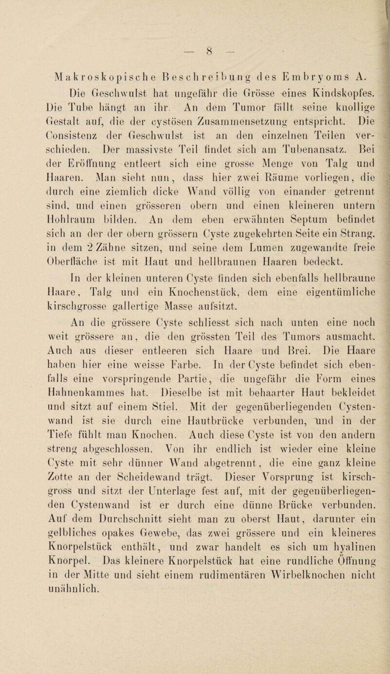 M akroskop i sehe Besohl* ei b u n g des E m b r y o m s A. Die Geschwulst hat ungefähr die Grösse eines Kindskopfes. Die Tube hängt an ihr. An dem Tumor fällt seine knollige Gestalt auf, die der cystösen Zusammensetzung entspricht. Die Consistenz der Geschwulst ist an den einzelnen Teilen ver¬ schieden. Der massivste Teil findet sich am Tubenansatz. Bei der Eröffnung entleert sich eine grosse Menge von Talg und Haaren. Man sieht nun, dass hier zwei Räume vorliegen, die durch eine ziemlich dicke Wand völlig von einander getrennt sind, und einen grösseren obern und einen kleineren untern Hohl raum bilden. An dem eben erwähnten Septum befindet sich an der der obern grossem Cyste zugekehrten Seite ein Strang, in dem 2 Zähne sitzen, und seine dem Lumen zugewandte freie Oberfläche ist mit Haut und hellbraunen Haaren bedeckt. In der kleinen unteren Cyste finden sich ebenfalls hellbraune Haare, Talg und ein Knochenstück, dem eine eigentümliche kirschgrosse gallertige Masse aufsitzt. O O o An die grössere Cyste schliesst sich nach unten eine noch weit grössere an, die den grössten Teil des Tumors ausmacht. Auch aus dieser entleeren sich Haare und Brei. Die Haare haben hier eine weisse Farbe. In der Cyste befindet sich eben¬ falls eine vorspringende Partie, die ungefähr die Form eines Hahnenkammes hat. Dieselbe ist mit behaarter Haut bekleidet und sitzt auf einem Stiel. Mit der gegenüberliegenden Cysten¬ wand ist sie durch eine Hautbriicke verbunden, und in der Tiefe fühlt man Knochen. Auch diese Cyste ist von den andern streng abgeschlossen. Von ihr endlich ist wieder eine kleine Cyste mit sehr dünner Wand abgetrennt, die eine ganz kleine Zotte an der Scheidewand trägt. Dieser Vorsprung ist kirsch¬ gross und sitzt der Unterlage fest auf, mit der gegenüberliegen¬ den Cystenwand ist er durch eine dünne Brücke verbunden. Auf dem Durchschnitt sieht man zu oberst Haut, darunter ein gelbliches opakes Gewebe, das zwei grössere und ein kleineres Knorpelstück enthält, und zwar handelt es sich um hyalinen Knorpel. Das kleinere Knorpelstück hat eine rundliche Öffnung in der Mitte und sieht einem rudimentären Wirbelknochen nicht unähnlich.