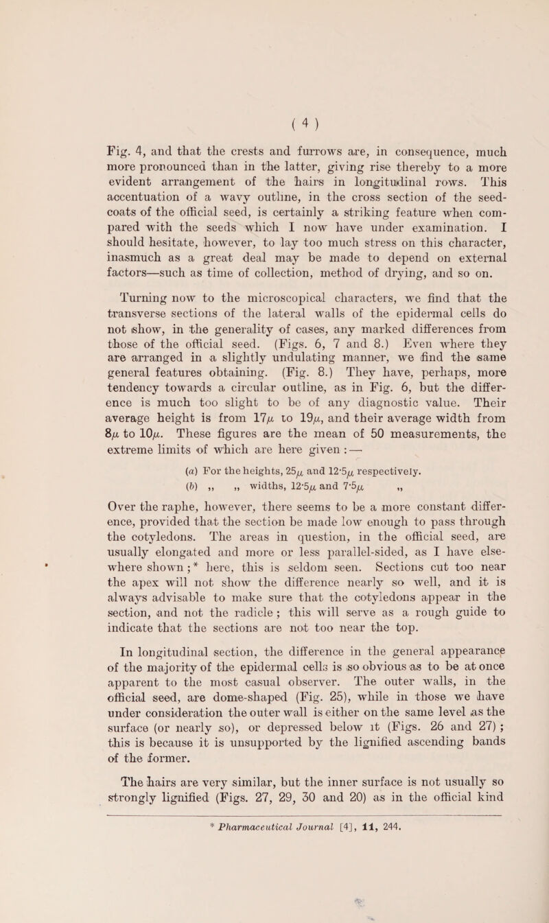 more pronounced than in the latter, giving rise thereby to a more evident arrangement of the hairs in longitudinal rows. This accentuation of a wavy outline, in the cross section of the seed- coats of the official seed, is certainly a striking feature when com¬ pared with the seeds which I now have under examination. I should hesitate, however, to lay too much stress on this character, inasmuch as a great deal may be made to depend on external factors—such as time of collection, method of drying, and so on. Turning now to the microscopical characters, we find that the transverse sections of the lateral walls of the epidermal cells do not tshow, in the generality of eases, any marked differences from those of the official seed. (Figs. 6, 7 and 8.) Even where they are arranged in a slightly undulating manner, we find the same general features obtaining. (Fig. 8.) They have, perhaps, more tendency towards a circular outline, as in Fig. 6, but the differ¬ ence is much too slight to be of any diagnostic value. Their average height is from 17^ to 19^, and their average width from 8ix to 10^. These figures are the mean of 50 measurements, the extreme limits of which are here given : — (a) For the heights, 25^ and 12'S^ respectively. (b) ,, „ widths, 12‘5/a and 7-5^ „ Over the raphe, however, there seems to be a more constant differ¬ ence, provided that the section be made low enough to pass through the cotyledons. The areas in question, in the official seed, are usually elongated and more or less parallel-sided, as I have else¬ where shown; * here, this is seldom seen. Sections cut too near the apex will not show the difference nearly so well, and it is always advisable to make sure that the cotyledons appear in the section, and not the radicle ; this will serve as a rough guide to indicate that the sections are not too near the top. In longitudinal section, the difference in the general appearance of the majority of the epidermal cells is ,so obvious as to be at once apparent to the most casual observer. The outer walls, in the official seed, are dome-shaped (Fig. 25), while in those we have under consideration the outer wall is either on the same level as the surface (or nearly so), or depressed below it (Figs. 26 and 27) ; this is because it is unsupported by the lignified ascending bands of the former. The hairs are very similar, but the inner surface is not usually so strongly lignified (Figs. 27, 29, 30 and 20) as in the official kind * Pharmaceutical Journal [4], 11, 244.