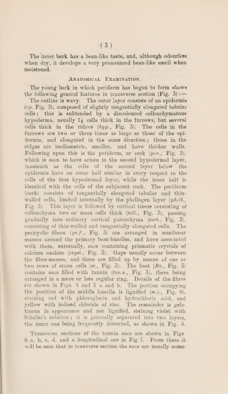 The inner bark has a bean-like taste, and, although odourless when dry, it develops a very pronounced bean-like smell when moistened. Anatomical Examination. The young bark in which periderm has begun to form shows the following general features in transverse section (Fig. 3) : — The outline is wavy. The outer layer consists of an epidermis (rp. Fig. 3), composed of slightly tangentially elongated tabular cells; this is subtended by a discoloured collenchymatous hypoderma, usually 1^ cells thick in the furrows, but several cells thick in the ridp-es (hyp., Fig. 3). The cells in the furrows are two or three times as large as those of the epi¬ dermis, and elongated in the same direction; those in the ridges are isodiametric, smaller, and have thicker walls. Following upon this is the periderm, or cork (per., Fig. 3), which is seen to have arisen in the second hypodermal layer, inasmuch as the cells of the second layer below the epidermis have an outer half similar in every respect to the cells of the first hypodermal layer, while the inner half is identical with the cells of the subjacent cork. The periderm (cork) consists of tangentially elongated tabular and thin- walled cells, limited internally by the phellogen layer (phell., Fig. 3). This layer is followed by cortical tissue consisting of collenchyma two or more cells thick (coll., Fig. 3), passing gradually into ordinary cortical parenchyma (cort., Fig. 3), consisting of thin-walled and tangentially elongated cells. The pericyclic fibres (pc.f., Fig. 3) are arranged in semilunar masses around the primary bast-bundles, and have associated with them, externally, sacs containing prismatic crystals of calcium oxalate (cryst., Fig. 3). Gaps usually occur between the fibre-masses, and these are filled up by means of one or two rows of stone cells (sc., Fig. 3). The bast (Ba., Fig. 3) contains sacs filled with tannin (tan.s., Fig. 3), these being arranged in a more or less regular ring. Details of the fibres are shown in Figs. 4 and 5 a and b. The portion occupying the position of the middle lamella is lignified (m.l., Fig. 4), staining red with phloroglucin and hydrochloric acid, and yellow with iodised chloride of zinc. The remainder is gela¬ tinous in appearance and not lignified, staining violet with Schulze’s solution ; it is generally separated into two layers, the inner one being frequently distorted, as shown in Fig. 4. Transverse sections of the tannin sacs are shown in Figs 6 a, b, c, d, and a longitudinal one in Fig 7. From these it will be seen that in tranverse section the sacs are usually some-