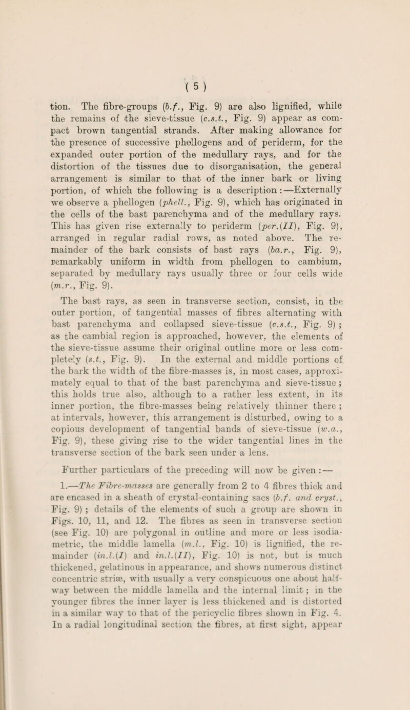 tion. The fibre-groups (b.f., Fig. 9) are also lignified, while the remains of the sieve-tissue (c.s.t., Fig. 9) appear as com¬ pact brown tangential strands. After making allowance for the presence of successive phellogens and of periderm, for the expanded outer portion of the medullary rays, and for the distortion of the tissues due to disorganisation, the general arrangement is similar to that of the inner bark or living portion, of which the following is a description:—Externally we observe a phellogen (phell., Fig. 9), which has originated in the cells of the bast parenchyma and of the medullary rays. This has given rise externally to periderm [per.{II), Fig. 9), arranged in regular radial rows, as noted above. The re¬ mainder of the bark consists of bast rays (ba.r., Fig. 9), remarkably uniform in width from phellogen to cambium, separated by medullary rays usually three or four cells wide (m.r., Fig. 9). The bast rays, as seen in transverse section, consist, in the outer portion, of tangential masses of fibres alternating with bast parenchyma and collapsed sieve-tissue (c.s.t., Fig. 9) ; as the cambial region is approached, however, the elements of the sieve-tissue assume their original outline more or less com¬ pletely («.<., Fig. 9). In the external and middle portions of the bark the width of the fibre-masses is, in most cases, approxi¬ mately equal to that of the bast parenchyma and sieve-tissue ; this holds true also, although to a rather less extent, in its inner portion, the fibre-masses being relatively thinner there ; at intervals, however, this arrangement is disturbed, owing to a copious development of tangenthil bands of sieve-tissue (w.a., Fig. 9), these giving rise to the wider tangential lines in the transverse section of the bark seen under a lens. Further particulars of the preceding will now be given : — 1.—The Fibre-masses are generally from 2 to 4 fibres thick and are encased in a sheath of crystal-containing sacs (b.f. and cryst., Fig. 9) ; details of the elements of such a group are shown in Figs. 10, 11, and 12. The fibres as seen in transverse section (see Fig. 10) are polygonal in outline and more or less isodia- metric, the middle lamella (m.l., Fig. 10) is lignified, the re¬ mainder (in.1.(1) and in.1.(11), Fig. 10) is not, but is much thickened, gelatinous in appearance, and shows numerous distinct concentric striae, with usually a very conspicuous one about half¬ way between the middle lamella and the internal limit; in the younger fibres the inner layer is less thickened and is distorted in a similar way to that of the pericyclic fibres shown in Fig. 4. In a radial longitudinal section the fibres, at first sight, appear