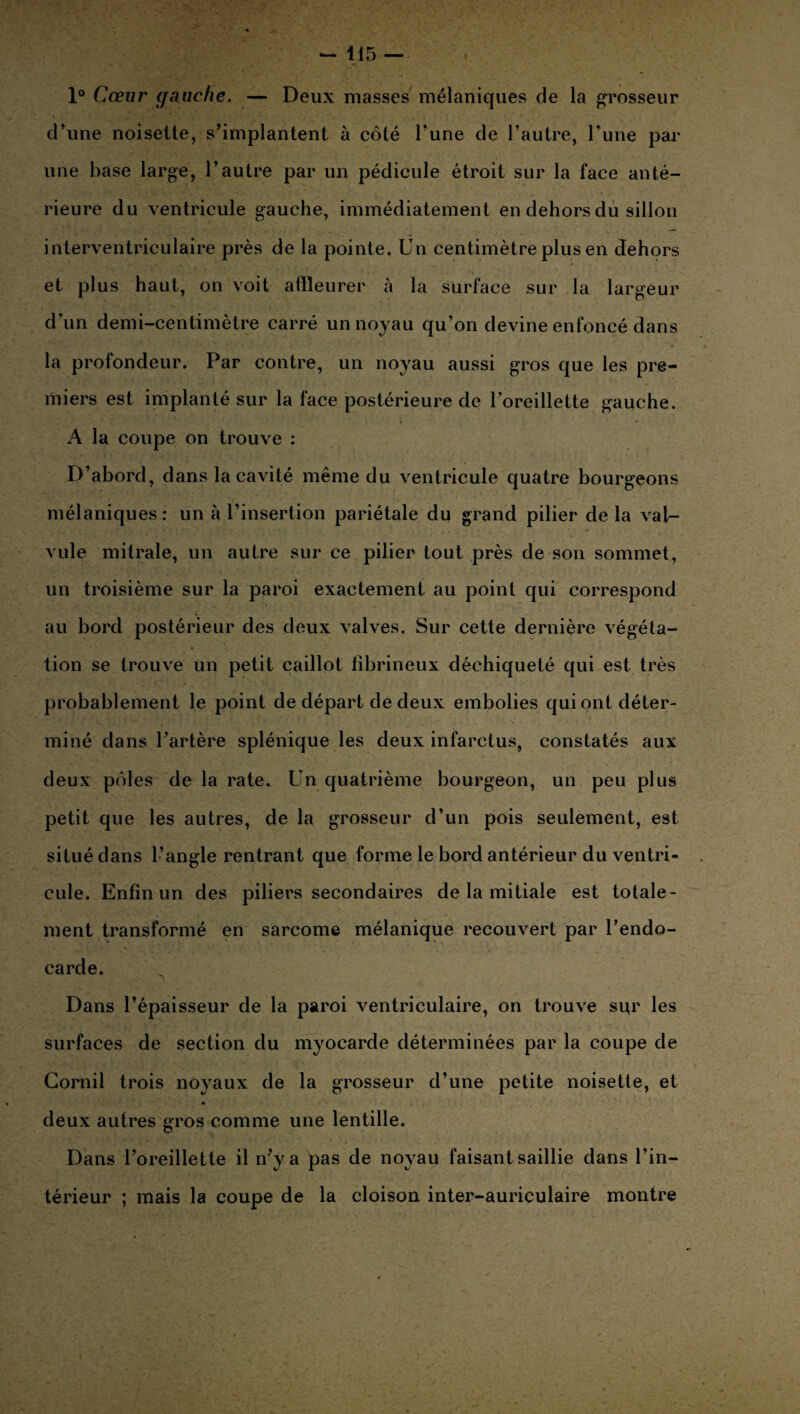 1° Cœur gauche. — Deux masses mélaniques de la grosseur d’une noisette, s’implantent à côté l’une de l’autre, l’une par une base large, l’autre par un pédicule étroit sur la face anté¬ rieure du ventricule gauche, immédiatement en dehors du sillon interventriculaire près de la pointe. Un centimètre plus en dehors et plus haut, on voit affleurer à la surface sur la largeur d’un demi-centimètre carré un noyau qu’on devine enfoncé dans la profondeur. Par contre, un noyau aussi gros que les pre¬ miers est implanté sur la face postérieure de l’oreillette gauche. A la coupe on trouve : D’abord, dans la cavité même du ventricule quatre bourgeons mélaniques: un à l’insertion pariétale du grand pilier de la val¬ vule mitrale, un autre sur ce pilier tout près de son sommet, un troisième sur la paroi exactement au point qui correspond au bord postérieur des deux valves. Sur cette dernière végéta¬ tion se trouve un petit caillot fibrineux déchiqueté qui est très probablement le point de départ de deux embolies qui ont déter¬ miné dans l’artère splénique les deux infarctus, constatés aux deux pôles de la rate. Un quatrième bourgeon, un peu plus petit que les autres, de la grosseur d’un pois seulement, est situé dans l’angle rentrant que forme le bord antérieur du ventri¬ cule. Enfin un des piliers secondaires de la initiale est totale¬ ment transformé en sarcome mélanique recouvert par l’endo¬ carde. Dans l’épaisseur de la paroi ventriculaire, on trouve sur les surfaces de section du myocarde déterminées par la coupe de Corail trois noyaux de la grosseur d’une petite noisette, et deux autres gros comme une lentille. Dans l’oreillette il n’y a pas de noyau faisant saillie dans l’in¬ térieur ; mais la coupe de la cloison inter-auriculaire montre