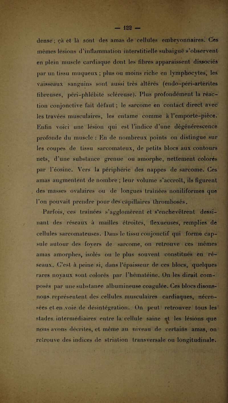 dense ; çà et là sont des amas de cellules embryonnaires. Ces mêmes lésions d'inflammation interstitielle subaiguë s’observent en plein muscle cardiaque dont les fibres apparaissent dissociés par un tissu muqueux ; plus ou moins riche en lymphocytes, les vaisseaux sanguins sont aussi très altérés (endo-péri-artérites fibreuses, péri —phlébite scléreuse). Plus profondément la réac¬ tion conjonctive fait défaut ; le sarcome en contact direct avec r lès travées musculaires, les entame comme à l’emporte-pièce. Enfin voici une lésion qui est l’indice d’une dégénérescence profonde du muscle : En de nombreux points on distingue sur les coupes de tissu sarcomateux, de petits blocs aux contours nets, d’une substance grenue ou amorphe, nettement colorés par l’éosine. Vers la périphérie des nappes de sarcome. Ces amas augmentent de nombre ; leur volume s’accroît, ils figurent des masses ovalaires ou de longues traînées noniliformes que l’on pouvait prendre pour des capillaires thrombosés. Parfois, ces traînées s’agglomèrent et s’enchevêtrent dessi¬ nant des réseaux à mailles étroites, flexueuses, remplies de cellules sarcomateuses. Dans le tissu conjonctif qui forme cap¬ sule autour des foyers de sarcome, on retrouve ces mêmes amas amorphes, isolés ou le plus souvent constitués en ré¬ seaux. C’est à peine si, dans l’épaisseur de ces blocs, quelques rares noyaux sont colorés par l’hématéine. On les dirait com¬ posés par une substance albumineuse coagulée. Ces blocs disons- nous représentent des cellules musculaires cardiaques, nécro¬ sées et en voie de désintégration. On peut' retrouver tous les stades intermédiaires entre la cellule saine les lésions que nous avons décrites, et même au niveau de certains amas, on retrouve des indices de striation transversale ou longitudinale.