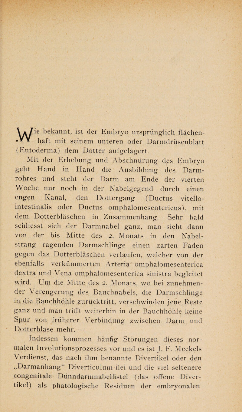 \kI’ie bekannt, ist der Embryo ursprünglich flächen- * haft mit seinem unteren oder Darmdrüsenblatt (Entoderma) dem Dotter aufgelagert. Mit der Erhebung und Abschnürung des Embryo geht Hand in Hand die Ausbildung des Darm¬ rohres und steht der Darm am Ende der vierten Woche nur noch in der Nabelgegend durch einen engen Kanal, den Dottergang (Ductus vitello- intestinalis oder Ductus omphalomesentericus), mit dem Dotterbläschen in Zusammenhang. Sehr bald sc hl iesst sich der Darmnabel ganz, man sieht dann von der bis Mitte des 2. Monats in den Nabel¬ strang ragenden Darmschlinge einen zarten Faden gegen das Dotterbläschen verlaufen, welcher von der ebenfalls verkümmerten Arteria omphalomesenterica dextra und Vena omphalomesenterica sinistra begleitet wird. Um die Mitte des 2. Monats, wo bei zunehmen¬ der Verengerung des Bauchnabels, die Darmschlinge in die Bauchhöhle zurücktritt, verschwinden jene Reste ganz und man trifft weiterhin in der Bauchhöhle keine Spur von früherer V erbindung' zwischen Darm und Dotterblase mehr. — Indessen kommen häufig Störungen dieses nor¬ malen Involutionsprozesses vor und es ist J. F. Meckels Verdienst, das nach ihm benannte Divertikel oder den „Darmanhang“ Diverticulum ilei und die viel seltenere congenitale Dünndarmnabelfistel (das offene Diver¬ tikel) als phatologiscfie Residuen der embryonalen