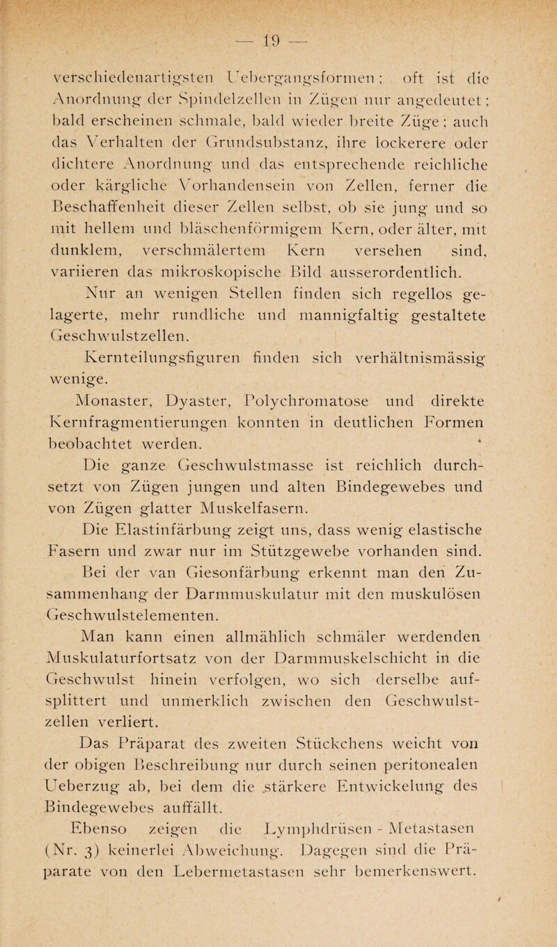 * - ' verschiedenartigsten Gebergangsformen ; oft ist die Anordnung der Spindelzellen in Zügen nur angedeutet; bald erscheinen schmale, bald wieder breite Züge; auch das Verhalten der Grundsubstanz, ihre lockerere oder dichtere Anordnung und das entsprechende reichliche oder kärgliche Vorhandensein von Zellen, ferner die Beschaffenheit dieser Zellen selbst, ob sie jung und so mit hellem und bläschenförmigem Kern, oder älter, mit dunklem, verschmälertem Kern versehen sind, variieren das mikroskopische Bild ausserordentlich. Nur an wenigen Stellen finden sich regellos ge¬ lagerte, mehr rundliche und mannigfaltig gestaltete Geschwulstzellen. Kernteilungsfiguren finden sich verhältnismässig wenige. Monaster, Dyaster, Polychromatose und direkte Kernfragmentierungen konnten in deutlichen Formen beobachtet werden. Die ganze Geschwulstmasse ist reichlich durch¬ setzt von Zügen jungen und alten Bindegewebes und von Zügen glatter Muskelfasern. Die Elastinfärbung zeigt uns, dass wenig elastische Fasern und zwar nur im Stützgewebe vorhanden sind. Bei der van Giesonfärbung erkennt man den Zu¬ sammenhang der Darmmuskulatur mit den muskulösen Geschwulstelementen. Man kann einen allmählich schmäler werdenden Muskulaturfortsatz von der Darmmuskelschicht in die Geschwulst hinein verfolgen, wo sich derselbe auf¬ splittert und unmerklich zwischen den Geschwulst¬ zellen verliert. Das Präparat des zweiten Stückchens weicht von der obigen Beschreibung nur durch seinen peritonealen Ueberzug ab, bei dem die .stärkere Entwickelung des Bindegewebes auffällt. Ebenso zeigen die Lvmphdrüsen - Metastasen (Nr. 3) keinerlei Abweichung. Dagegen sind die Prä¬ parate von den Lebermetastasen sehr bemerkenswert.