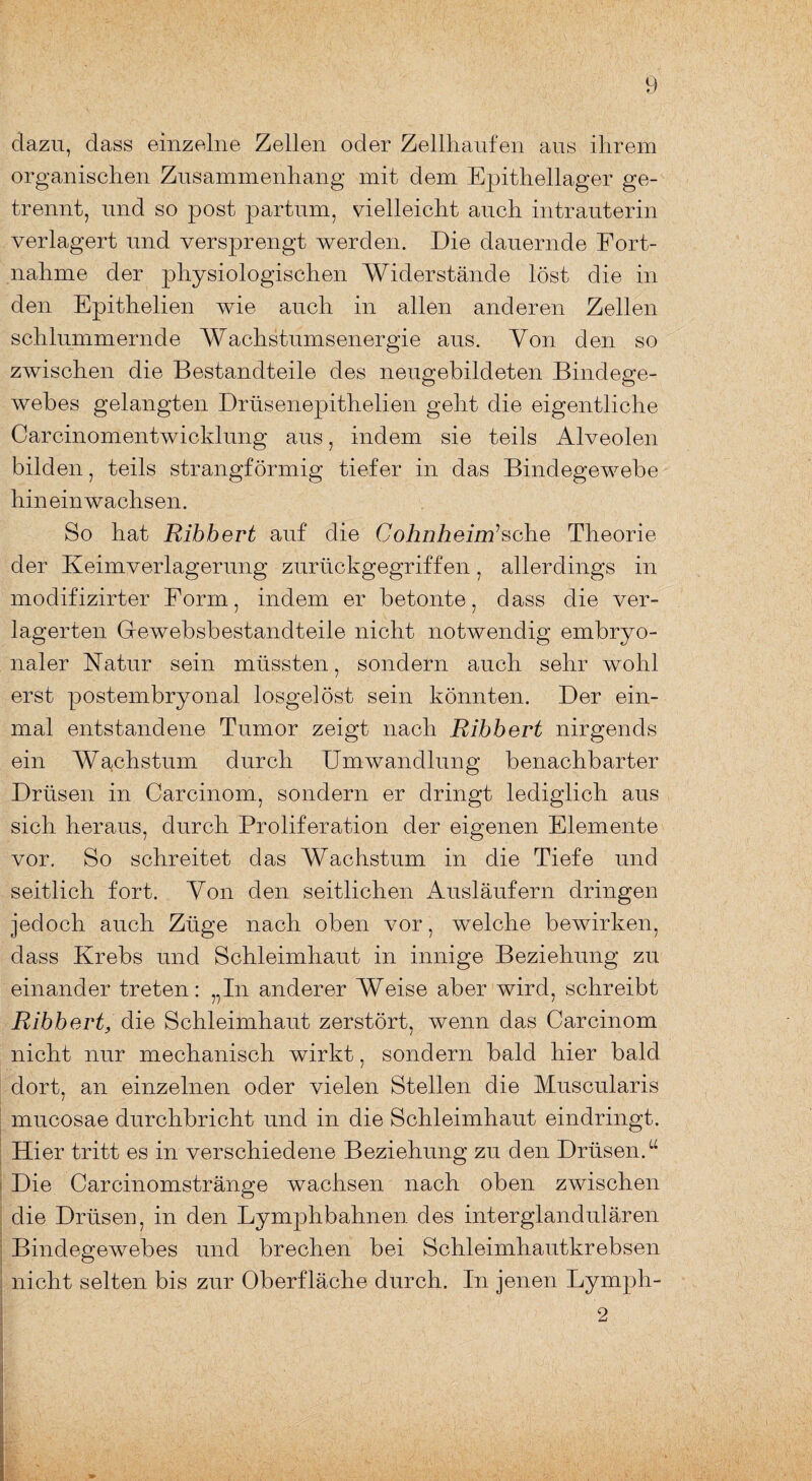 dazu, dass einzelne Zellen oder Zellhaufen aus ihrem organischen Zusammenhang mit dem Epithellager ge¬ trennt, und so post partum, vielleicht auch intrauterin verlagert und versprengt werden. Die dauernde Fort- nahme der physiologischen Widerstände löst die in den Epithelien wie auch in allen anderen Zellen schlummernde Wachstumsenergie aus. Von den so zwischen die Bestandteile des neugebildeten Bindege¬ webes gelangten Drüsenepithelien geht die eigentliche Carcinomentwicklung aus, indem sie teils Alveolen bilden, teils strangförmig tiefer in das Bindegewebe hin ein wachsen. So hat Ribbert auf die Cohnheim1 sehe Theorie der Keimverlagerung zurückgegriffen, allerdings in modifizirter Form, indem er betonte, dass die ver¬ lagerten Grewebsbestandteile nicht notwendig embryo¬ naler Natur sein müssten, sondern auch sehr wohl erst postembryonal losgelöst sein könnten. Der ein¬ mal entstandene Tumor zeigt nach Ribbert nirgends ein Wachstum durch Umwandlung benachbarter Drüsen in Carcinom, sondern er dringt lediglich aus sich heraus, durch Proliferation der eigenen Elemente vor. So schreitet das Wachstum in die Tiefe und seitlich fort. Von den seitlichen Ausläufern dringen jedoch auch Züge nach oben vor, welche bewirken, dass Krebs und Schleimhaut in innige Beziehung zu einander treten: „In anderer Weise aber wird, schreibt Ribbert, die Schleimhaut zerstört, wenn das Carcinom nicht nur mechanisch wirkt, sondern bald hier bald dort, an einzelnen oder vielen Stellen die Muscularis mucosae durchbricht und in die Schleimhaut eindringt. Hier tritt es in verschiedene Beziehung zu den Drüsen.“ Die Carcinomstränge wachsen nach oben zwischen die Drüsen, in den Lymphbahnen des interglandulären Bindegewebes und brechen bei Schleimhautkrebsen nicht selten bis zur Oberfläche durch. In jenen Lymph-
