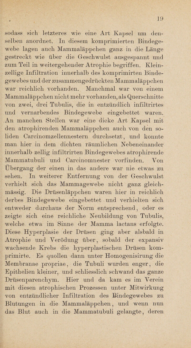 sodass sich letzteres wie eine Art Kapsel um den¬ selben anordnet. In diesem komprimierten Bindege¬ webe lagen auch Mammaläppchen ganz in die Länge gestreckt wie über die Geschwulst ausgespannt und zum Teil in weitergehender Atrophie begriffen. Klein¬ zellige Infiltration innerhalb des komprimirten Binde¬ gewebes und der zusammengedrückten Mammaläppchen war reichlich vorhanden. Manchmal war von einem Mammaläppchen nicht mehr vorhanden, als Querschnitte von zwei, drei Tubulis, die in entzündlich infiltrirtes und vernarbendes Bindegewebe eingebettet waren. An manchen Stellen war eine dicke Art Kapsel mit den atrophirenden Mammaläppchen auch von den so¬ liden Carcinomzellennestern durchsetzt, und konnte man hier in dem dichten räumlichen Nebeneinander innerhalb zellig infiltrirten Bindegewebes atrophirende Mammatubuli und Carcinomnester vorfinden. Von Übergang der einen in das andere war nie etwas zu sehen. In weiterer Entfernung von der Geschwulst verhielt sich das Mammagewebe nicht ganz gleich- mässig. Die Drüsenläppchen waren hier in reichlich derbes Bindegewebe eingebettet und verhielten sich entweder durchaus der Norm entsprechend, oder es zeigte sich eine reichliche Neubildung von Tubulis, welche etwa im Sinne der Mamma lactans erfolgte. Diese Hyperplasie der Drüsen ging aber alsbald in Atrophie und Verödung über, sobald der expansiv wachsende Krebs die hyperplastischen Drüsen kom- primirte. Es quollen dann unter Homogenisirung die Membranae propriae, die Tubuli wurden enger, die Epithelien kleiner, und schliesslich schwand das ganze Drüsenparenchym. Hier und da kam es im Verein mit diesen atrophischen Prozessen unter Mitwirkung von entzündlicher Infiltration des Bindegewebes zu Blutungen in die Mammaläppchen, und wenn nun das Blut auch in die Mammatubuli gelangte, deren