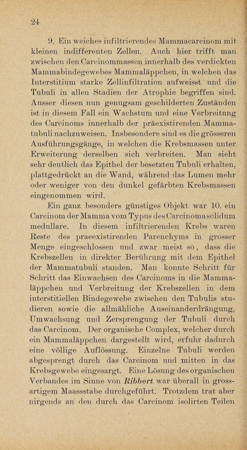 9. Ein weiches infiltrierendes Mammacarcinom mit kleinen indifferenten Zellen. Auch hier trifft man zwischen den Carcinommassen innerhalb des verdickten Mammabindegewebes Mammaläppchen, in welchen das Interstitinm starke Zellinfiltration aufweisst und die Tubuli in allen Stadien der Atrophie begriffen sind. Ausser diesen nun genugsam geschilderten Zuständen ist in diesem Fall ein Wachstum und eine Verbreitung des Carcinoms innerhalb der präexistirenden Mamma¬ tubuli nachzuweisen. Insbesondere sind es die grösseren Ausführungsgänge, in welchen die Krebsmassen unter Erweiterung derselben sich verbreiten. Man sieht sehr deutlich das Epithel der besetzten Tubuli erhalten, plattgedrückt an die Wand, während das Lumen mehr oder weniger von den dunkel gefärbten Krebsmassen eingenommen wird. Ein ganz besonders günstiges Objekt war 10. ein Carcinom der Mamma vom Typus des Carcinoma solidum medulläre. In diesem infiltrierenden Krebs waren Reste des praeexistirenden Parenchyms in grosser Menge eingeschlossen und zwar meist so , dass die Krebszellen in direkter Berührung mit dem Epithel der Mammatubuli standen. Man konnte Schritt für Schritt das Einwachsen des Carcinoms in die Mamma¬ läppchen und Verbreitung der Krebszellen in dem interstitiellen Bindegewebe zwischen den Tubulis stu¬ dieren sowie die allmähliche Auseinanderdrängung, Umwachsung und Zersprengung der Tubuli durch das Carcinom. Der organische Complex, welcher durch ein Mammaläppchen dargestellt wird, erfuhr dadurch eine völlige Auflössung. Einzelne Tubuli werden abgesprengt durch das Carcinom und mitten in das Krebsgewebe eingesargt. Eine Lösung des organischen Verbandes im Sinne von Ribbert war überall in gross- artigem Maassstabe durchgeführt. Trotzdem trat aber nirgends an den durch das Carcinom isolirten Teilen