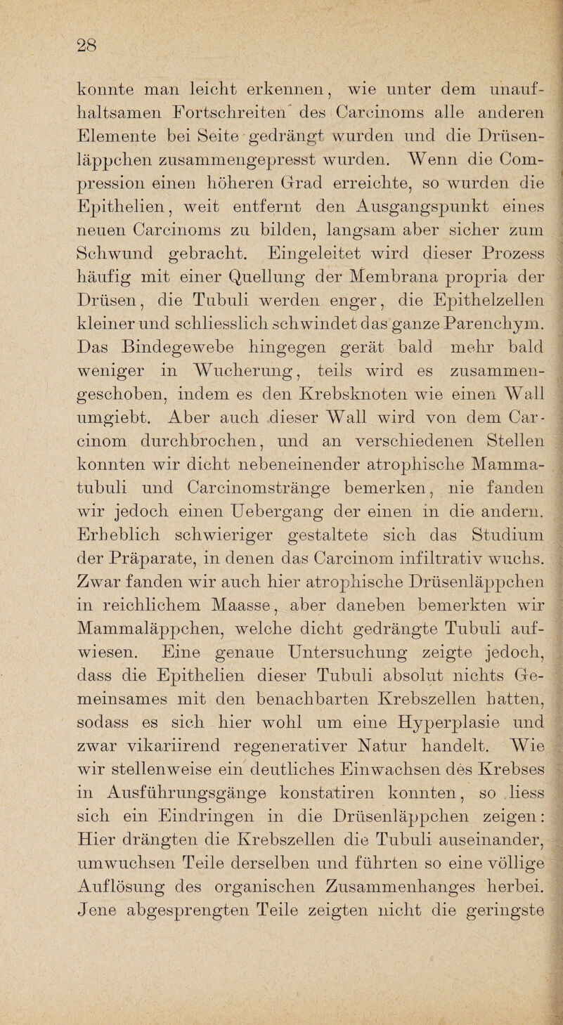 konnte man leicht erkennen, wie unter dem unauf¬ haltsamen Fortschreiten des Careinoms alle anderen Elemente bei Seite gedrängt wurden und die Drüsen¬ läppchen zusammengepresst wurden. Wenn die Com- pression einen höheren Grad erreichte, so wurden die Epithelien, weit entfernt den Ausgangspunkt eines neuen Careinoms zu bilden, langsam aber sicher zum Schwund gebracht. Eingeleitet wird dieser Prozess häufig mit einer Quellung der Membrana propria der Drüsen, die Tubuli werden enger, die Epithelzellen kleiner und schliesslich schwindet das ganze Parenchym. Das Bindegewebe hingegen gerät bald mehr bald weniger in Wucherung, teils wird es zusammen¬ geschoben, indem es den Krebsknoten wie einen Wall umgiebt. Aber auch dieser Wall wird von dem Car- cinom durchbrochen, und an verschiedenen Stellen konnten wir dicht nebeneinender atrophische Mamma¬ tubuli und Carcinomstränge bemerken, nie fanden wir jedoch einen Uebergang der einen in die andern. Erheblich schwieriger gestaltete sich das Studium der Präparate, in denen das Carcinorn infiltrativ wuchs. Zwar fanden wir auch hier atrophische Drüsenläppchen in reichlichem Maasse, aber daneben bemerkten wir Mammaläppchen, welche dicht gedrängte Tubuli auf¬ wiesen. Eine genaue Untersuchung zeigte jedoch, dass die Epithelien dieser Tubuli absolut nichts Ge¬ meinsames mit den benachbarten Krebszellen hatten, sodass es sich hier wohl um eine Hyperplasie und zwar vikariirend regenerativer Natur handelt. Wie wir stellenweise ein deutliches Einwachsen des Krebses in Ausführungsgänge konstatiren konnten, so liess sich ein Eindringen in die Drüsenläppchen zeigen: Hier drängten die Krebszellen die Tubuli auseinander, umwuchsen Teile derselben und führten so eine völlige Auflösung des organischen Zusammenhanges herbei. Jene abgesprengten Teile zeigten nicht die geringste