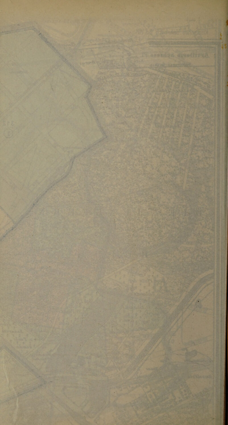 • 4’ V-. .  • •' . . . • • • ’. -J ■ • . . £:•*  ! r * * ' - , •' •' d f 1