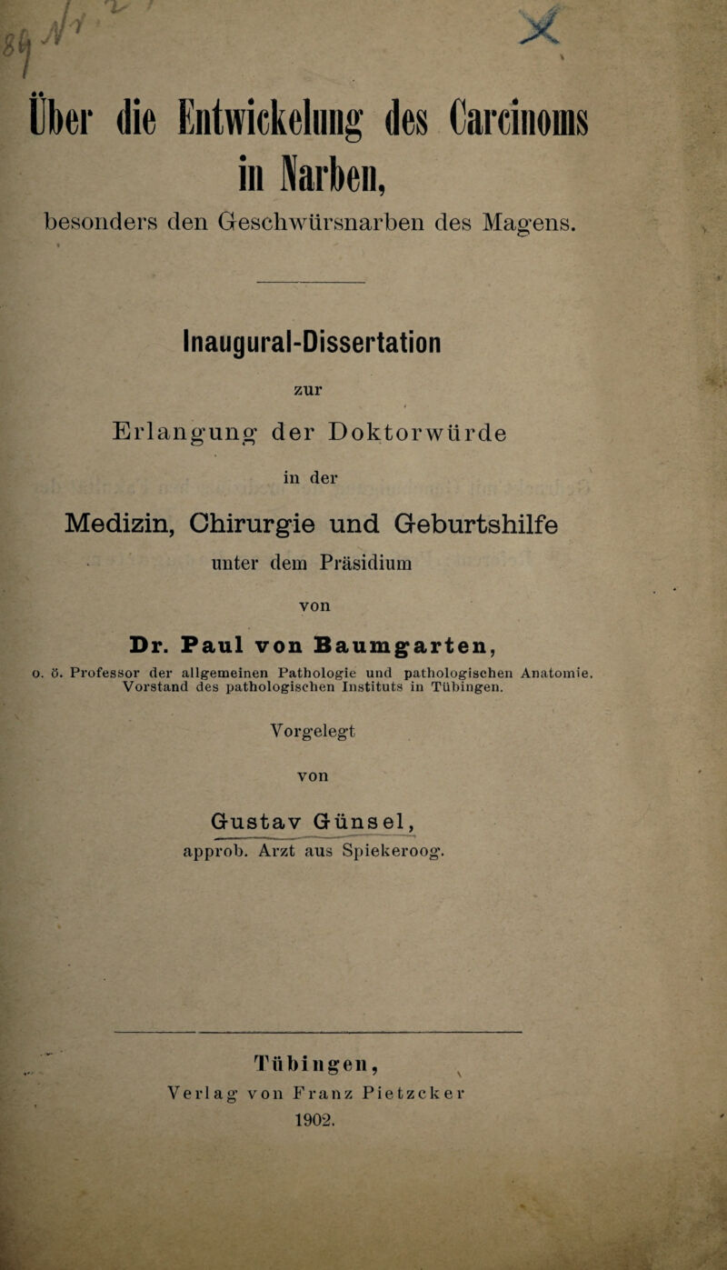 Über die Entwickelung des Carcinoma in Narben, besonders den Geschwürsnarben des Magens. Inaugurai-Dissertation zur *• . . . t Erlangung der Doktorwürde in der Medizin, Chirurgie und Geburtshilfe unter dem Präsidium von Dr. Paul von Baumgarten, o. ö. Professor der allgemeinen Pathologie und pathologischen Anatomie. Vorstand des pathologischen Instituts in Tübingen. Vor gelegt von Gustav Günsel, approb. Arzt aus Spiekeroog. Tübingen, Verlag von Franz Pietzcker 1902.