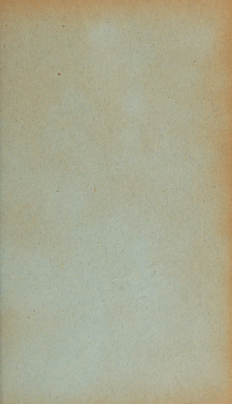 •’JV, - 1 . ' « ' ■ V' *•0 wm