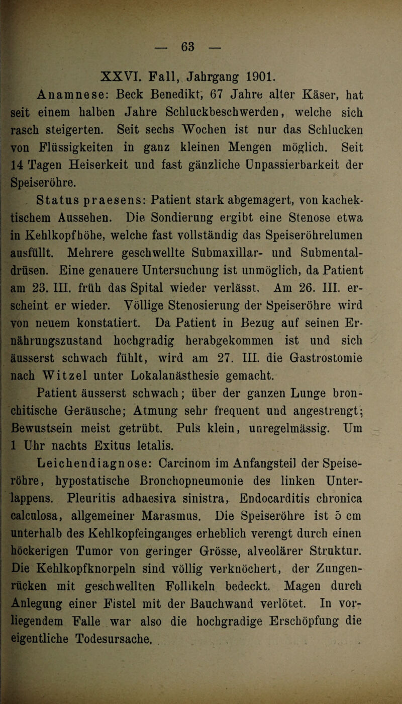 XXVI. Fall, Jahrgang 1901. Anamnese: Beck Benedikt, 67 Jahre alter Käser, hat seit einem halben Jahre Schluckbeschwerden, welche sich rasch steigerten. Seit sechs Wochen ist nur das Schlacken von Flüssigkeiten in ganz kleinen Mengen möglich. Seit 14 Tagen Heiserkeit und fast gänzliche Unpassierbarkeit der Speiseröhre. Status praesens: Patient stark abgemagert, von kachek- tischem Aussehen. Die Sondierung ergibt eine Stenose etwa in Kehlkopfhöhe, welche fast vollständig das Speiseröhrelumen ausfüllt. Mehrere geschwellte Submaxillar- und Submental¬ drüsen. Eine genauere Untersuchung ist unmöglich, da Patient am 23. III. früh das Spital wieder verlässt. Am 26. III. er¬ scheint er wieder. Völlige Stenosierung der Speiseröhre wird von neuem konstatiert. Da Patient in Bezug auf seinen Er¬ nährungszustand hochgradig herabgekommen ist und sich äusserst schwach fühlt, wird am 27. III. die Gastrostomie nach Witzei unter Lokalanästhesie gemacht. Patient äusserst schwach; über der ganzen Lunge bron- chitische Geräusche; Atmung sehr frequent und angestrengt; Bewustsein meist getrübt. Puls klein, unregelmässig. Um 1 Uhr nachts Exitus letalis. Leichendiagnose: Carcinom im Anfangsteil der Speise¬ röhre, hypostatische Bronchopneumonie des linken Unter¬ lappens. Pleuritis adhaesiva sinistra, Endocarditis chronica calculosa, allgemeiner Marasmus. Die Speiseröhre ist 5 cm unterhalb des Kehlkopfeinganges erheblich verengt durch einen höckerigen Tumor von geringer Grösse, alveolärer Struktur. Die Kehlkopfknorpeln sind völlig verknöchert, der Zungen¬ rücken mit geschwellten Follikeln bedeckt. Magen durch Anlegung einer Fistel mit der Bauchwand verlötet. In vor¬ liegendem Falle war also die hochgradige Erschöpfung die eigentliche Todesursache. . . „