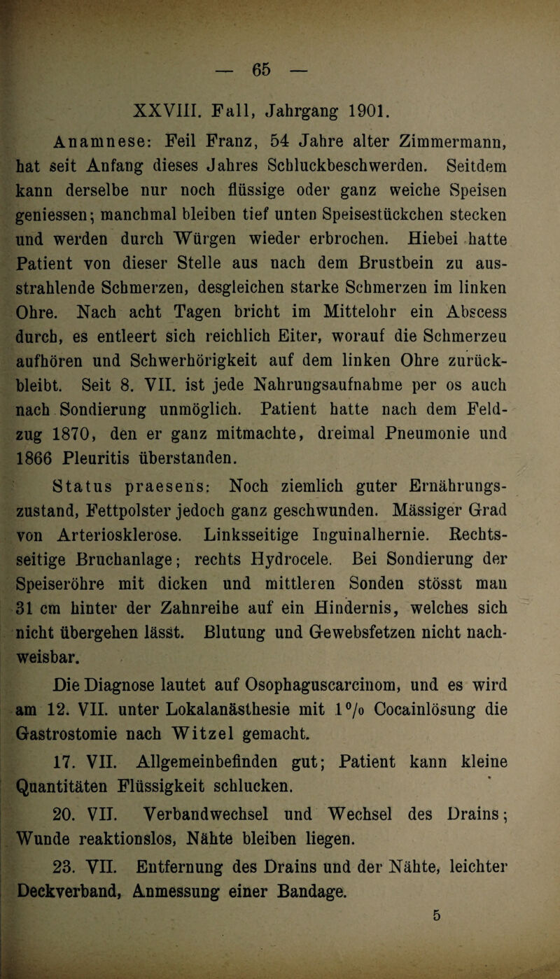 XXVIII. Fall, Jahrgang 1901. Anamnese: Feil Franz, 54 Jahre alter Zimmermann, hat seit Anfang dieses Jahres Schluckbeschwerden. Seitdem kann derselbe nur noch flüssige oder ganz weiche Speisen gemessen; manchmal bleiben tief unteD Speisestückchen stecken und werden durch Würgen wieder erbrochen. Hiebei hatte Patient von dieser Stelle aus nach dem Brustbein zu aus- strahlende Schmerzen, desgleichen starke Schmerzen im linken Ohre. Nach acht Tagen bricht im Mittelohr ein Abscess durch, es entleert sich reichlich Eiter, worauf die Schmerzeu aufhören und Schwerhörigkeit auf dem linken Ohre zurück¬ bleibt. Seit 8. VII. ist jede Nahrungsaufnahme per os auch nach Sondierung unmöglich. Patient hatte nach dem Feld¬ zug 1870, den er ganz mitmachte, dreimal Pneumonie und 1866 Pleuritis überstanden. Status praesens: Noch ziemlich guter Ernährungs¬ zustand, Fettpolster jedoch ganz geschwunden. Mässiger Grad von Arteriosklerose. Linksseitige Inguinalhernie. Rechts¬ seitige Bruchanlage; rechts Hydrocele. Bei Sondierung der Speiseröhre mit dicken und mittleren Sonden stösst man 31 cm hinter der Zahnreihe auf ein Hindernis, welches sich nicht übergehen lässt. Blutung und Gewebsfetzen nicht nach¬ weisbar. Die Diagnose lautet auf Osophaguscarcinom, und es wird am 12. VII. unter Lokalanästhesie mit l°/o Cocainlösung die Gastrostomie nach Witzei gemacht. 17. VII. Allgemeinbefinden gut; Patient kann kleine Quantitäten Flüssigkeit schlucken. 20. VII. Verbandwechsel und Wechsel des Drains; Wunde reaktionslos, Nähte bleiben liegen. 23. VII. Entfernung des Drains und der Nähte, leichter Deckverband, Anmessung einer Bandage. 5