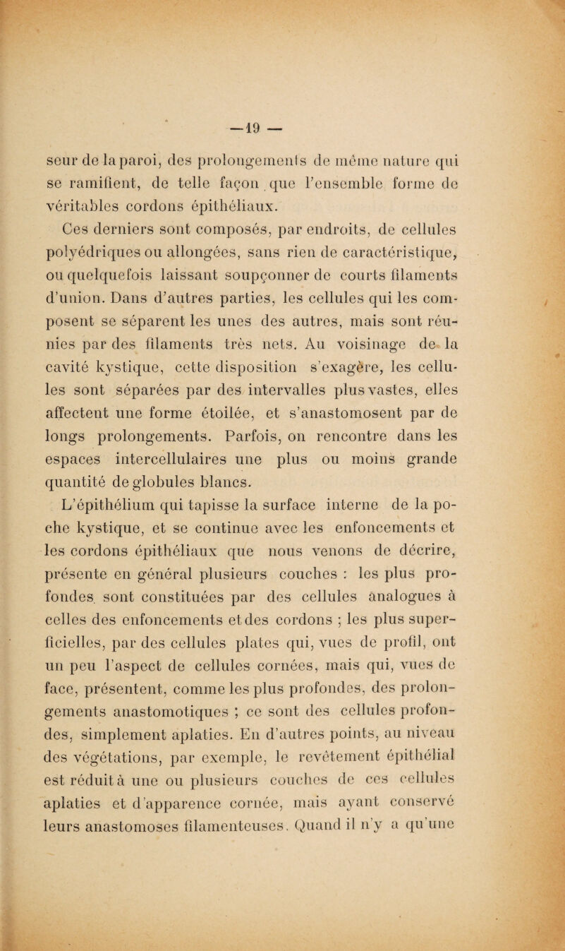 —19 — seul* de la paroi, des prolongements de même nature qui se ramifient, de telle façon que l'ensemble forme de véritables cordons épithéliaux. Ces derniers sont composés, par endroits, de cellules polyédriques ou allongées, sans rien de caractéristique, ou quelquefois laissant soupçonner de courts filaments d’union. Dans d'autres parties, les cellules qui les com¬ posent se séparent les unes des autres, mais sont réu¬ nies par des filaments très nets. Au voisinage de la cavité kystique, cette disposition s’exagère, les cellu¬ les sont séparées par des intervalles plus vastes, elles affectent une forme étoilée, et s’anastomosent par de longs prolongements. Parfois, on rencontre dans les espaces intercellulaires une plus ou moins grande quantité de globules blancs. L’épithélium qui tapisse la surface interne de la po¬ che kystique, et se continue avec les enfoncements et les cordons épithéliaux que nous venons de décrire, présente en général plusieurs couches : les plus pro¬ fondes. sont constituées par des cellules analogues à celles des enfoncements et des cordons ; les plus super¬ ficielles, par des cellules plates qui, vues de profil, ont un peu l’aspect de cellules cornées, mais qui, vues de face, présentent, comme les plus profondes, des prolon¬ gements anastomotiques ; ce sont des cellules profon¬ des, simplement aplaties. En d’autres points, au niveau des végétations, par exemple, le revêtement épithélial est réduit à une ou plusieurs couches de ces cellules aplaties et d’apparence cornée, mais ayant conservé leurs anastomoses filamenteuses. Quand il n’y a qu une