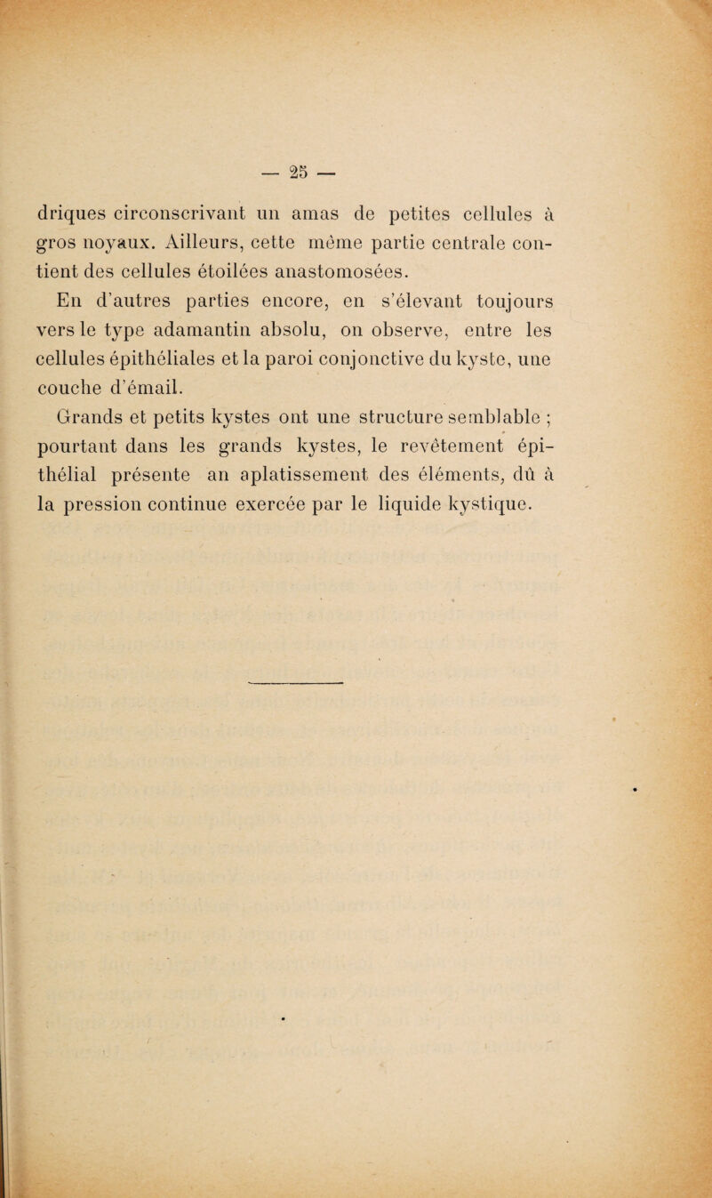 driques circonscrivant un amas de petites cellules à gros noyaux. Ailleurs, cette même partie centrale con¬ tient des cellules étoilées anastomosées. En d’autres parties encore, en s’élevant toujours vers le type adamantin absolu, on observe, entre les cellules épithéliales et la paroi conjonctive du kyste, une couche d’émail. Grands et petits kystes ont une structure semblable ; « pourtant dans les grands kystes, le revêtement épi¬ thélial présente an aplatissement des éléments, dû à la pression continue exercée par le liquide kystique. «