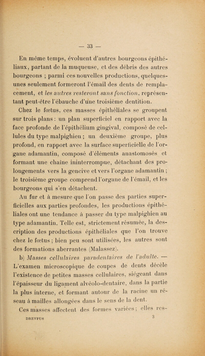 En même temps, évoluent d'autres bourgeons épithé¬ liaux, partant de la muqueuse, et des débris des autres bourgeons ; parmi ces nouvelles productions, quelques- unes seulement formeront l'émail des dents de rempla¬ cement, et les autres resteront saris fonction, représen¬ tant peut-être l’ébauche d'une troisième dentition. Chez le fœtus, ces masses épithéliales se groupent sur trois plans : un plan superficiel en rapport avec la face profonde de F épithélium gingival, composé de cel¬ lules du type malpighien ; un deuxième groupe, plus profond, en rapport avec la surface superficielle de l’or¬ gane adamantin, composé d’éléments anastomosés et formant une chaîne ininterrompue, détachant des pro¬ longements vers la gencive et vers l’organe adamantin ; le troisième groupe comprend l’organe de l’émail, et les bourgeons qui s’en détachent. Au fur et à mesure que l’on passe des parties super¬ ficielles aux parties profondes, les productions épithé¬ liales ont une tendance à passer du type malpighien au type adamantin. Telle est, strictement résumée, la des¬ cription des productions épithéliales que l'on trouve chez le fœtus ; bien peu sont utilisées, les autres sont des formations aberrantes (Malassez). b) Masses cellulaires paradentaires de l'adulte. L’examen microscopique de coupes de dents décèle l’existence de petites masses cellulaires, siégeant dans l’épaisseur du ligament alvéolo-dentaire, dans la partie la plus interne, et formant autour de la racine un ré¬ seau à mailles allongées dans le sens de la dent. Ces masses affectent des formes variées; elles rcs- 3 DREYFUS