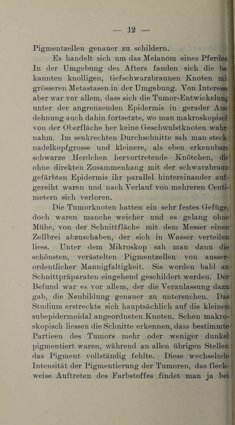 Pigmentzellen genauer zu schildern. Es handelt sich um das Melanom eines Pferdes In der Umgebung des Afters fanden sich die be kannten knolligen, tiefschwarzbraunen Knoten mr grösseren Metastasen in der Umgebung. Von Interess* aber war vor allem, dass sich die Tumor-Entwickelung unter der angrenzenden Epidermis in gerader Aus¬ dehnung auch dahin fortsetzte, wo man makroskopiscl von der Oberfläche her keine Geschwulstknoten wahr¬ nahm. Im senkrechten Durchschnitte sah man steck¬ nadelkopfgrosse und kleinere, als eben erkennbare schwarze Herdehen hervortretende Knötchen, die ohne direkten Zusammenhang mit der schwarzbraun gefärbten Epidermis ihr parallel hintereinander auf- gereilit waren und nach Verlauf von mehreren Centi¬ me tern sich verloren. Die Tumorknoten hatten ein sehr festes Gefüge, doch waren manche weicher und es gelang ohne Mühe, von der Schnittfläche mit dem Messer einen1 Zellbrei abzuschaben, der sich in Wasser verteilen liess. Unter dem Mikroskop sah man dann die schönsten, verästelten Pigmentzellen von ausser¬ ordentlicher Mannigfaltigkeit. Sie werden bald an Schnittpräparaten eingehend geschildert werden. Der Befund war es vor allem, der die Veranlassung dazu gab, die Neubildung genauer zu untersuchen. Das Studium erstreckte sich hauptsächlich auf die kleinen subepidermoidal angeordneten Knoten. Schon makro¬ skopisch liessen die Schnitte erkennen, dass bestimmte Partieen des Tumors mehr oder weniger dunkel pigmentiert waren, während an allen übrigen Stellen das Pigment vollständig fehlte. Diese wechselnde Intensität der Pigmentierung der Tumoren, das fleck¬ weise Auftreten des Farbstoffes findet man ja bei