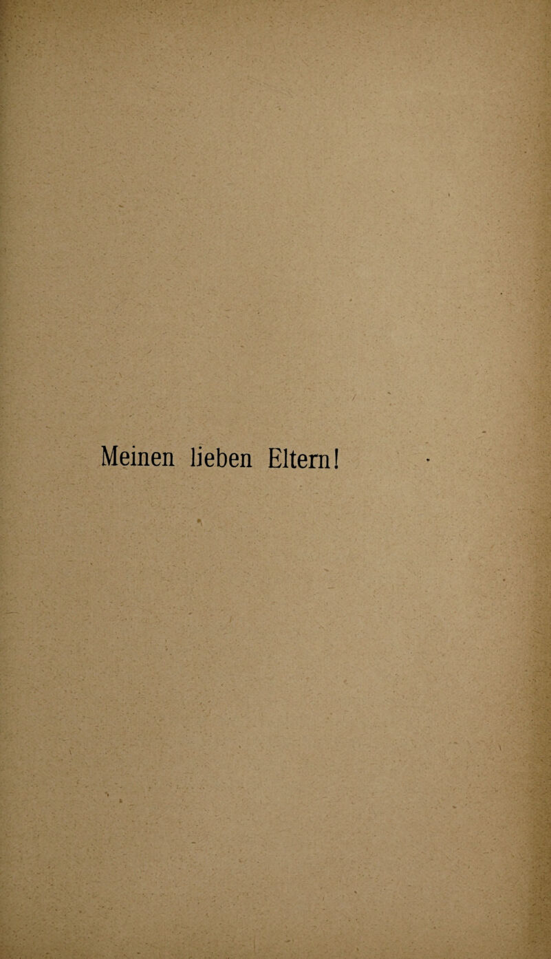 : / '*'■ .V . v • * ' • • Meinen lieben Eltern! \ • * • * . ■ •*