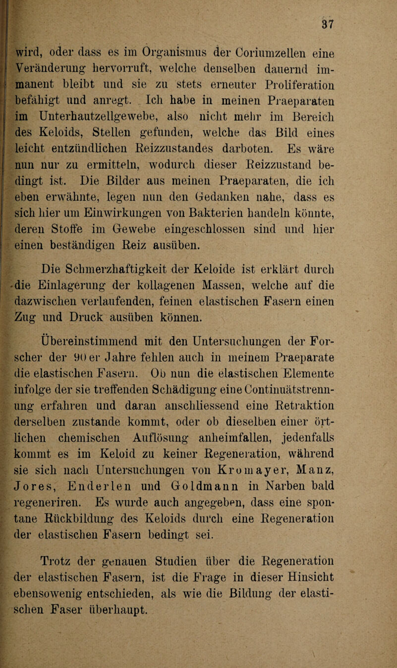 wird, oder dass es im Organismus der Coriumzellen eine Veränderung hervorruft, welche denselben dauernd im¬ manent bleibt und sie zu stets erneuter Proliferation befähigt und anregt. Ich habe in meinen Praeparaten im Unterhautzellgewebe, also nicht mehr im Bereich des Keloids, Stellen gefunden, welche das Bild eines leicht entzündlichen Beizzustandes darboten. Es wäre nun nur zu ermitteln, wodurch dieser Beizzustand be¬ dingt ist. Die Bilder aus meinen Praeparaten, die ich eben erwähnte, legen nun den Gedanken nahe, dass es sich hier um Einwirkungen von Bakterien handeln könnte, deren Stoffe im Gewebe eingeschlossen sind und hier einen beständigen Beiz ausüben. Die Schmerzhaftigkeit der Keloide ist erklärt durch • die Einlagerung der kollagenen Massen, welche auf die dazwischen verlaufenden, feinen elastischen Fasern einen Zug und Druck ausüben können. • • übereinstimmend mit den Untersuchungen der For¬ scher der 90 er Jahre fehlen auch in meinem Praeparate die elastischen Fasern. Ob nun die elastischen Elemente infolge der sie treffenden Schädigung eine Continuätstrenn- ung erfahren und daran anschliessend eine Betraktion derselben zustande kommt, oder ob dieselben einer ört¬ lichen chemischen Auflösung anheimfallen, jedenfalls kommt es im Keloid zu keiner Begeneration, während sie sich nach Untersuchungen von Kromayer, Manz, Jores, Enderlen und Goldmann in Narben bald regeneriren. Es wurde auch angegeben, dass eine spon¬ tane Bückbildung des Keloids durch eine Begeneration der elastischen Fasern bedingt sei. Trotz der genauen Studien über die Begeneration der elastischen Fasern, ist die Frage in dieser Hinsicht ebensowenig entschieden, als wie die Bildung der elasti¬ schen Faser überhaupt.