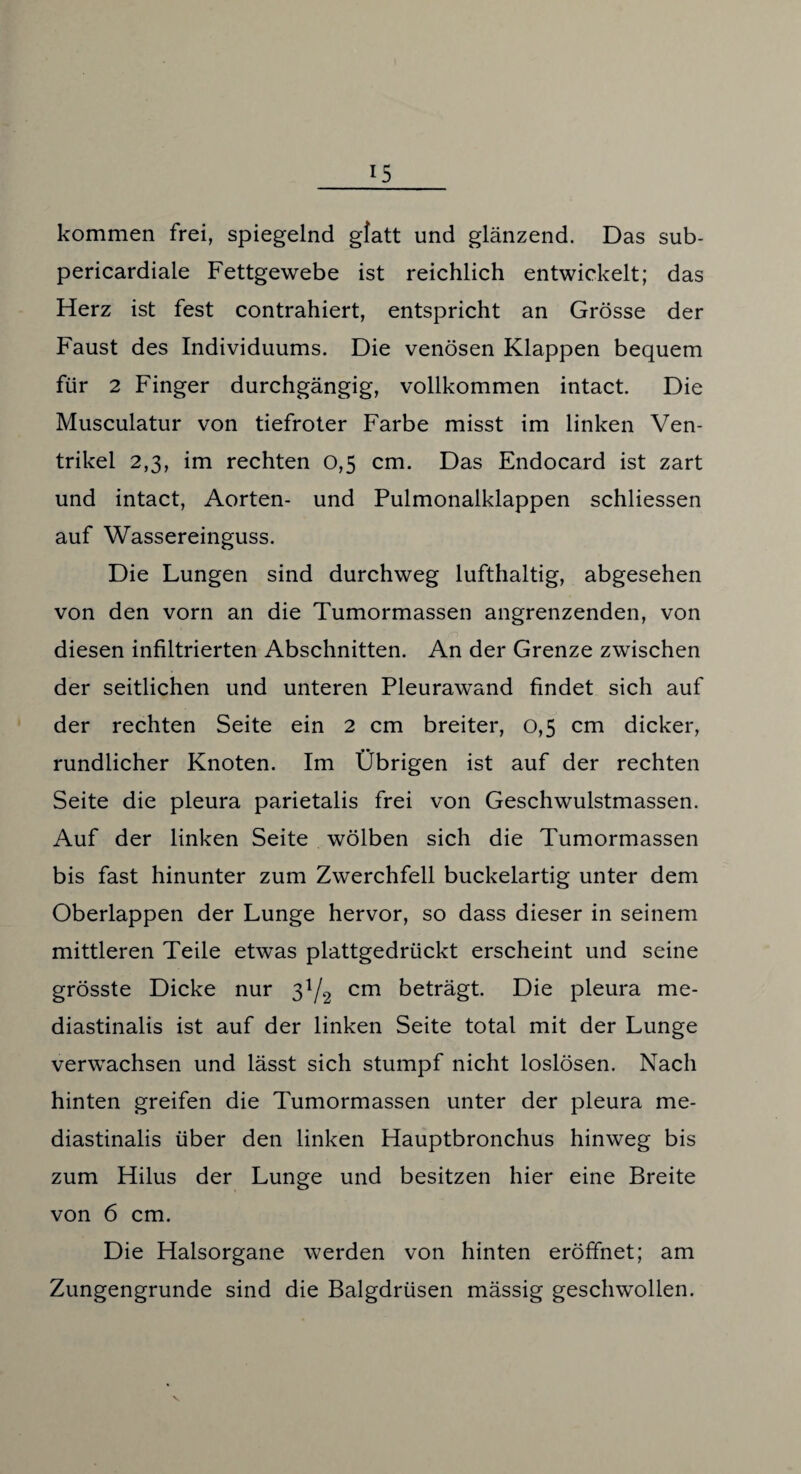 kommen frei, spiegelnd gfatt und glänzend. Das sub- pericardiale Fettgewebe ist reichlich entwickelt; das Herz ist fest contrahiert, entspricht an Grösse der Faust des Individuums. Die venösen Klappen bequem für 2 Finger durchgängig, vollkommen intact. Die Musculatur von tiefroter Farbe misst im linken Ven¬ trikel 2,3, im rechten 0,5 cm. Das Endocard ist zart und intact, Aorten- und Pulmonalklappen schliessen auf Wassereinguss. Die Lungen sind durchweg lufthaltig, abgesehen von den vorn an die Tumormassen angrenzenden, von n diesen infiltrierten Abschnitten. An der Grenze zwischen der seitlichen und unteren Pleurawand findet sich auf der rechten Seite ein 2 cm breiter, 0,5 cm dicker, rundlicher Knoten. Im Übrigen ist auf der rechten Seite die pleura parietalis frei von Geschwulstmassen. Auf der linken Seite wölben sich die Tumormassen bis fast hinunter zum Zwerchfell buckelartig unter dem Oberlappen der Lunge hervor, so dass dieser in seinem mittleren Teile etwas plattgedrückt erscheint und seine grösste Dicke nur 3^ cm beträgt. Die pleura me- diastinalis ist auf der linken Seite total mit der Lunge verwachsen und lässt sich stumpf nicht loslösen. Nach hinten greifen die Tumormassen unter der pleura me- diastinalis über den linken Hauptbronchus hinweg bis zum Hilus der Lunge und besitzen hier eine Breite von 6 cm. Die Halsorgane werden von hinten eröffnet; am Zungengrunde sind die Balgdrüsen mässig geschwollen.