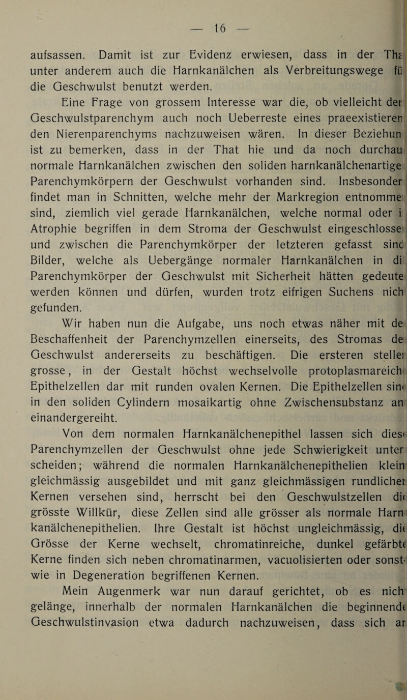 aufsassen. Damit ist zur Evidenz erwiesen, dass in der Tha unter anderem auch die Harnkanälchen als Verbreitungswege fü die Geschwulst benutzt werden. Eine Frage von grossem Interesse war die, ob vielleicht der Geschwulstparenchym auch noch Ueberreste eines praeexistieren den Nierenparenchyms nachzuweisen wären, ln dieser Beziehun ist zu bemerken, dass in der That hie und da noch durchau normale Harnkanälchen zwischen den soliden harnkanälchenartige Parenchymkörpern der Geschwulst vorhanden sind. Insbesonder findet man in Schnitten, welche mehr der Markregion entnomme sind, ziemlich viel gerade Harnkanälchen, welche normal oder i Atrophie begriffen in dem Stroma der Geschwulst eingeschlosse' und zwischen die Parenchymkörper der letzteren gefasst sine Bilder, welche als Uebergänge normaler Harnkanälchen in di . Parenchymkörper der Geschwulst mit Sicherheit hätten gedeute werden können und dürfen, wurden trotz eifrigen Suchens nich gefunden. Wir haben nun die Aufgabe, uns noch etwas näher mit de Beschaffenheit der Parenchymzellen einerseits, des Stromas de Geschwulst andererseits zu beschäftigen. Die ersteren stelle) grosse, in der Gestalt höchst wechselvolle protoplasmareich' Epithelzellen dar mit runden ovalen Kernen. Die Epithelzellen sin* in den soliden Cylindern mosaikartig ohne Zwischensubstanz an einandergereiht. Von dem normalen Harnkanälchenepithel lassen sich dies» Parenchymzellen der Geschwulst ohne jede Schwierigkeit unter scheiden; während die normalen Harnkanälchenepithelien klein gleichmässig ausgebildet und mit ganz gleichmässigen rundlicher Kernen versehen sind, herrscht bei den Geschwulstzellen di( grösste Willkür, diese Zellen sind alle grösser als normale Harn kanälchenepithelien. Ihre Gestalt ist höchst ungleichmässig, di( Grösse der Kerne wechselt, chromatinreiche, dunkel gefärbte Kerne finden sich neben chromatinarmen, vaeuolisierten oder sonst¬ wie in Degeneration begriffenen Kernen. Mein Augenmerk war nun darauf gerichtet, ob es nich gelänge, innerhalb der normalen Harnkanälchen die beginnende Geschwulstinvasion etwa dadurch nachzuweisen, dass sich ar